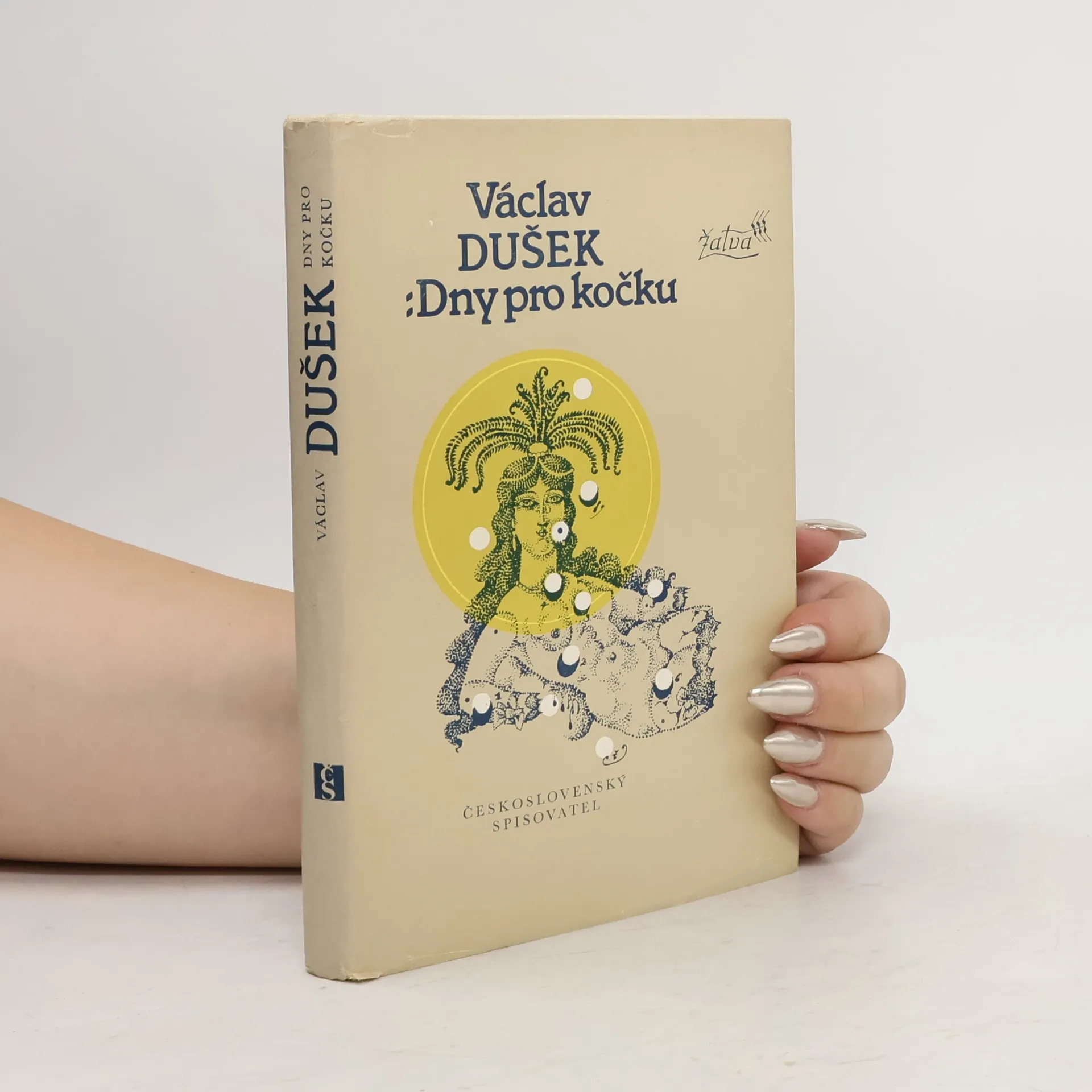 Dny pro kočku | Václav Dušek | Tsjechisch | Boek