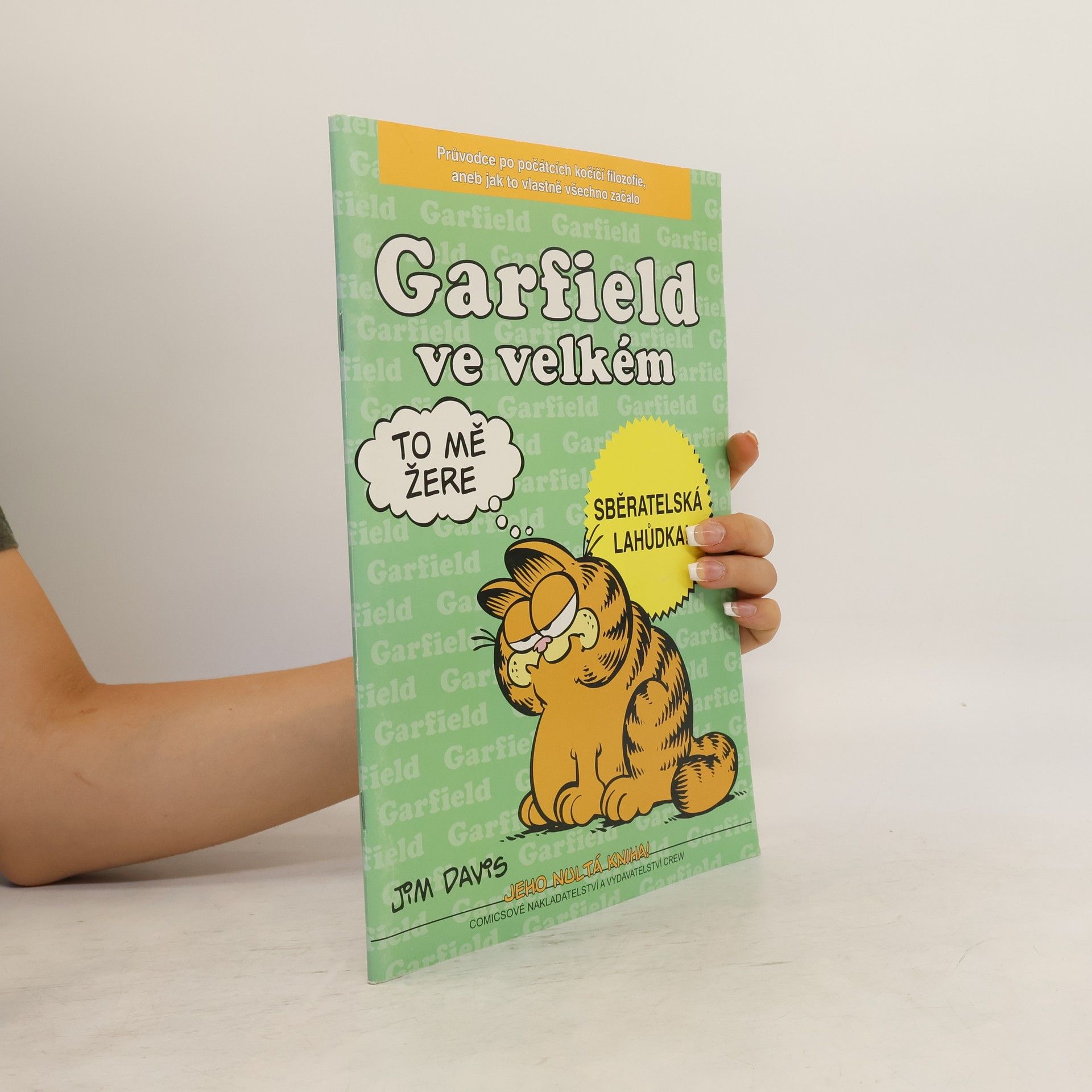 Jim Davis Garfield ve velkém
