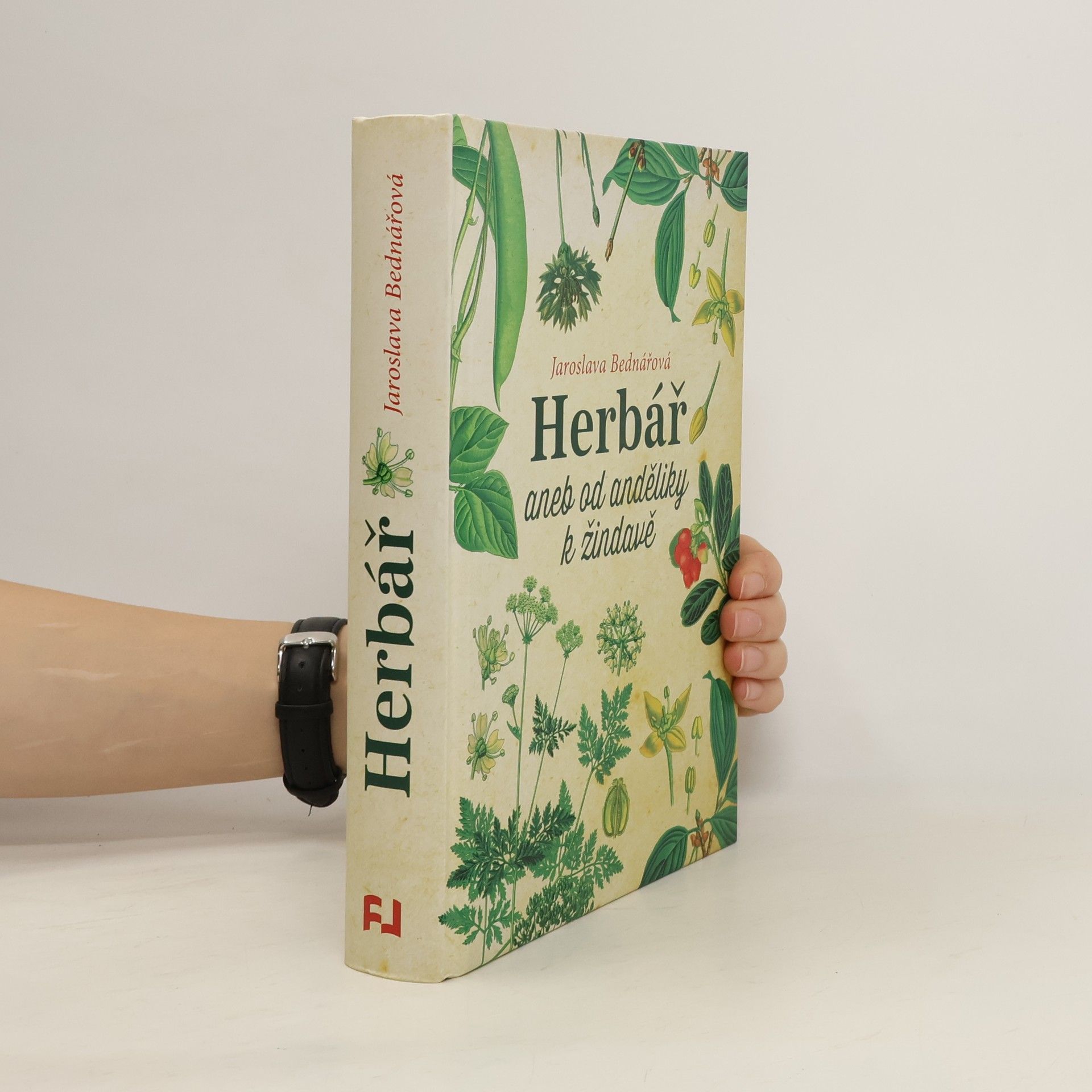 Jaroslava Bednářová Herbář, aneb, Od anděliky k žindavě
