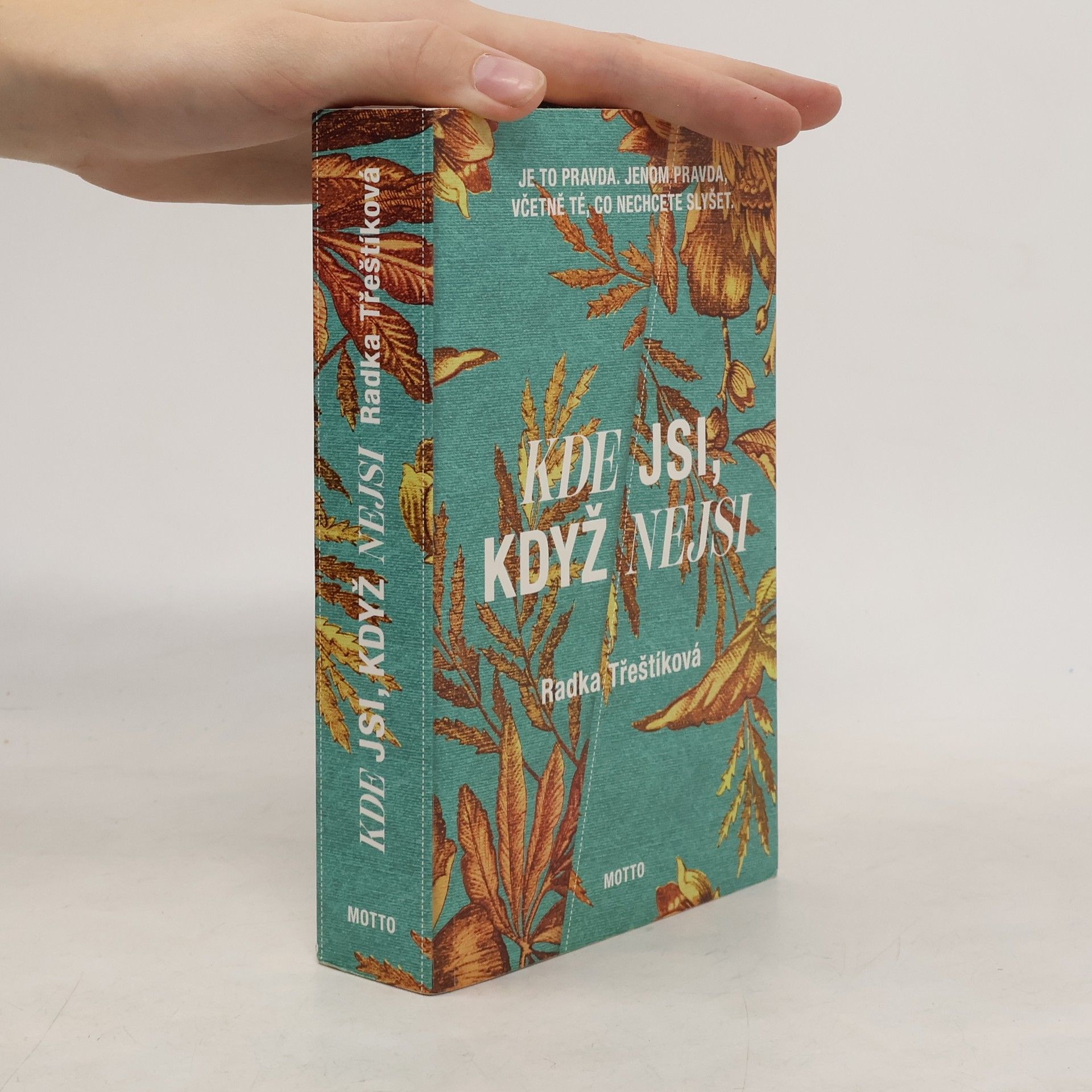 Radka Třeštíková Kde jsi, když nejsi