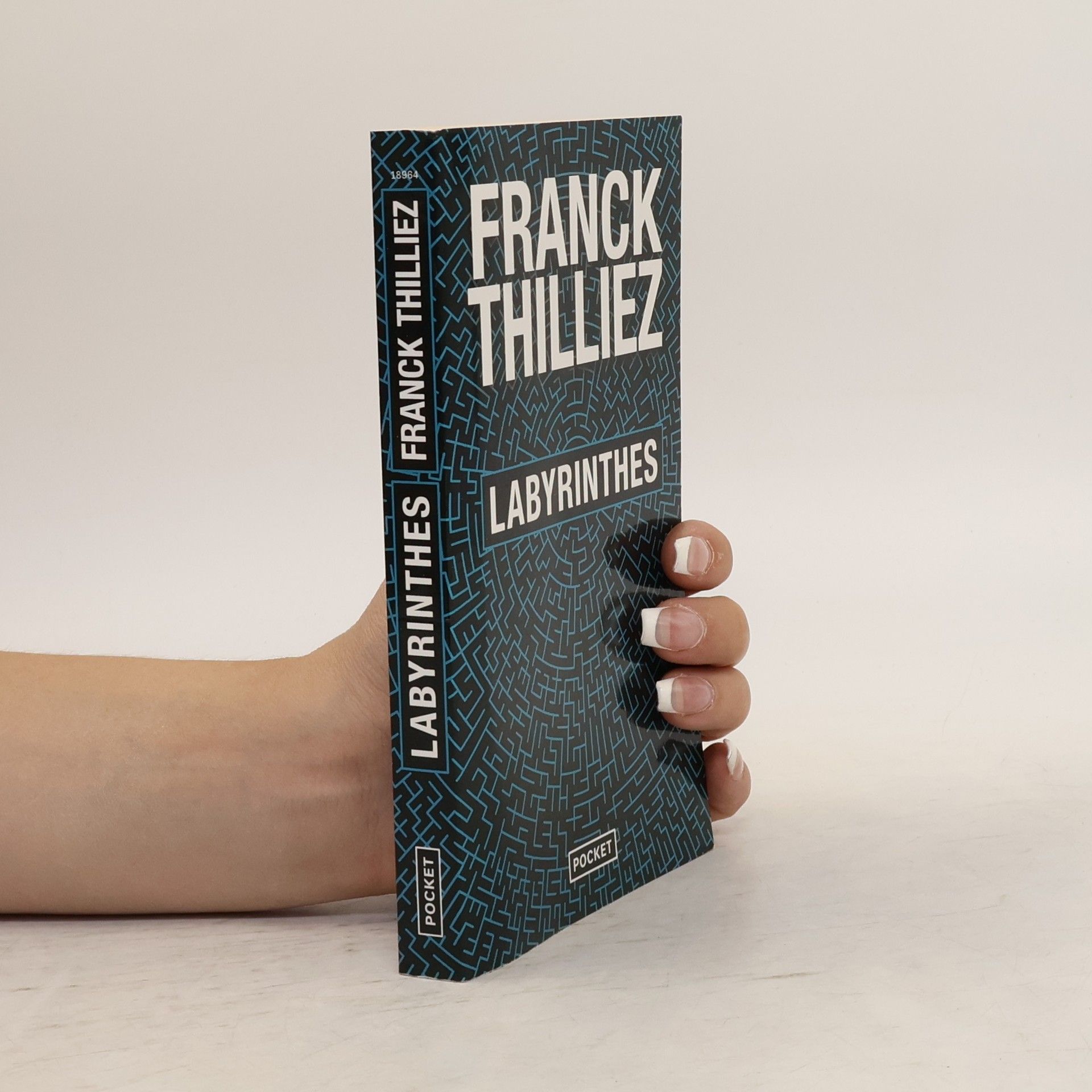 Franck Thilliez Labyrinthes