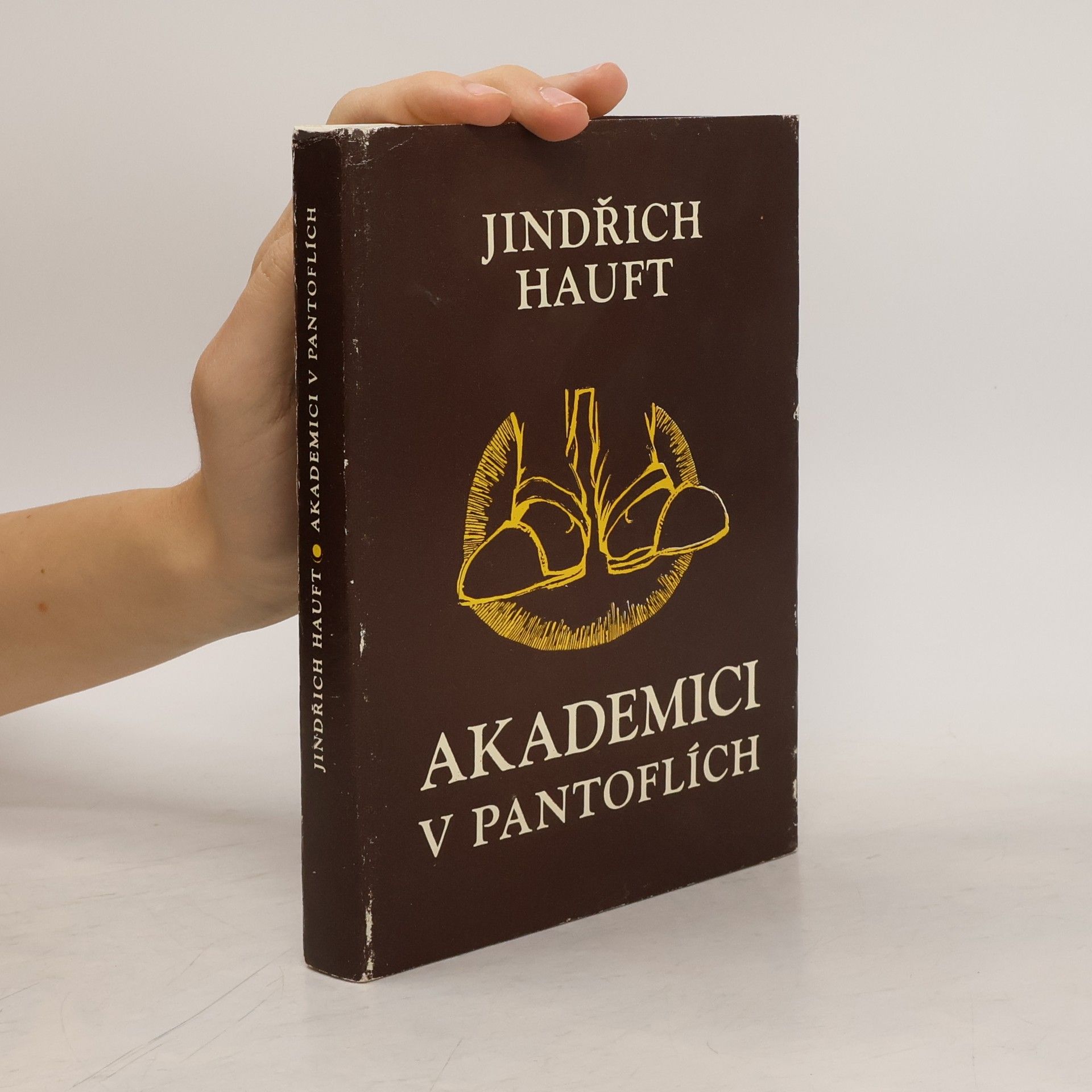 Jindřich Hauft Akademici v pantoflích