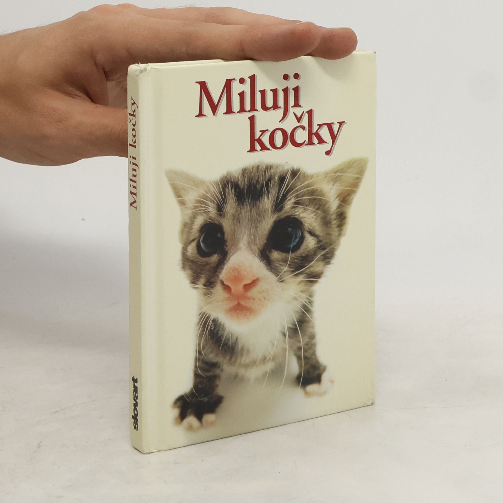 Yoneo Morita Miluji kočky