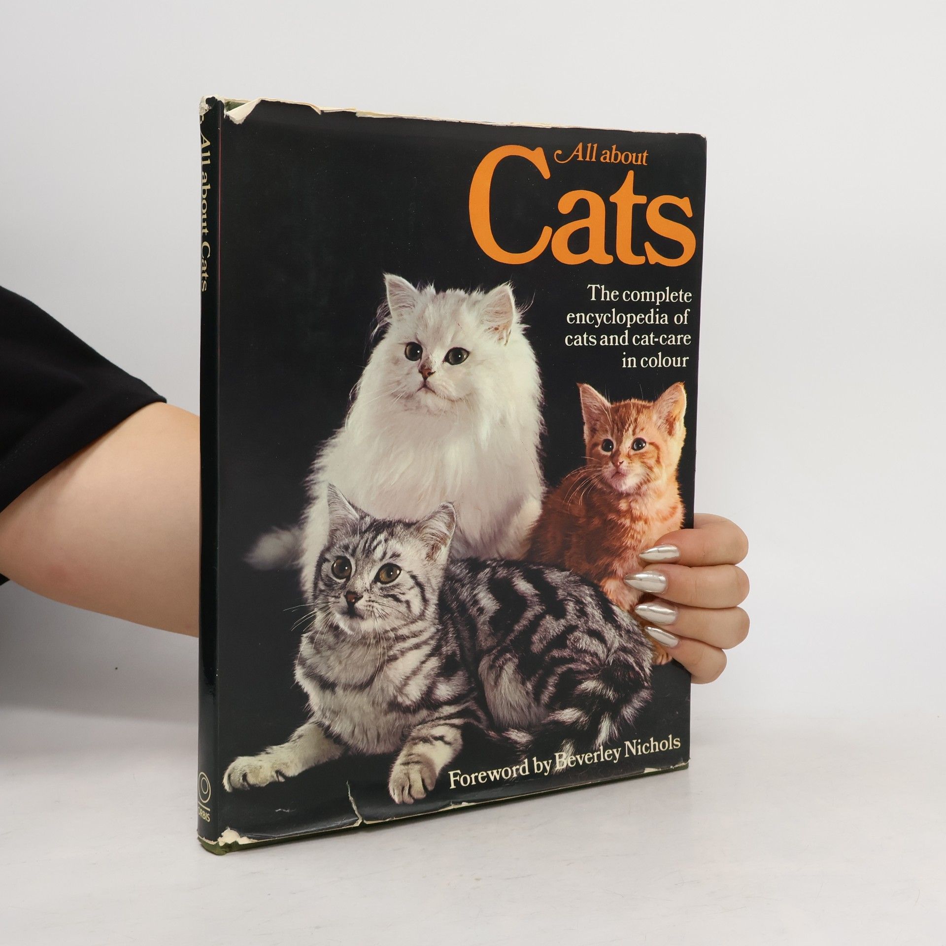 Grace Pond All About Cats