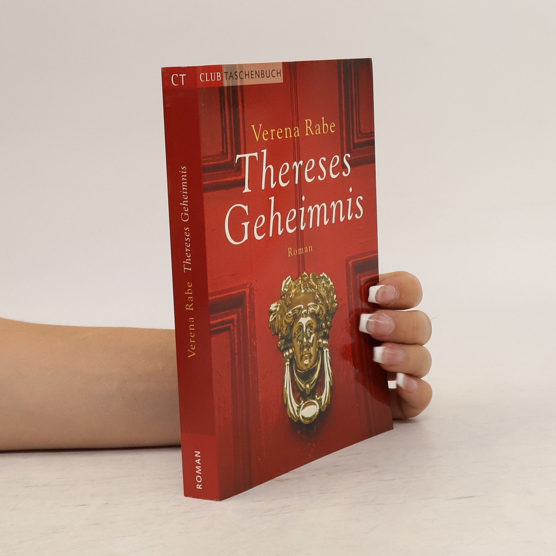Verena Rabe Thereses Geheimnis
