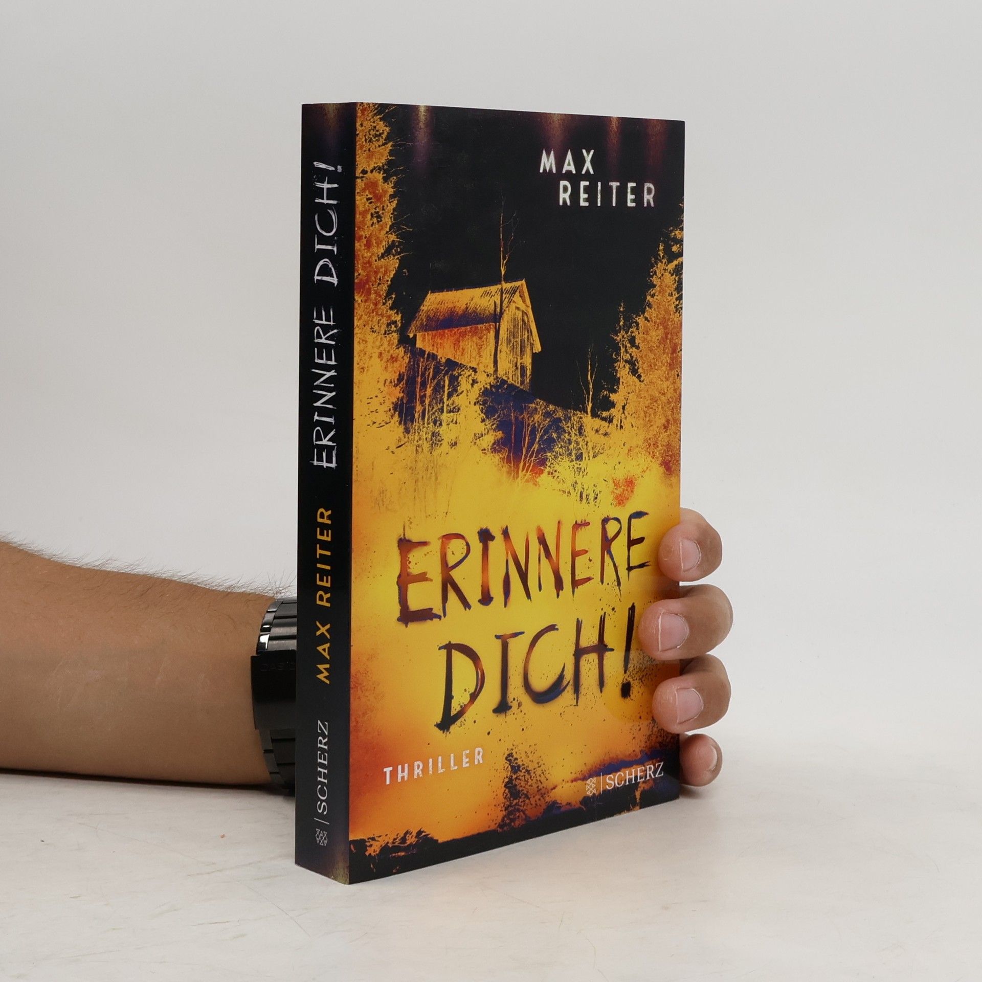 Max Reiter Erinnere dich!