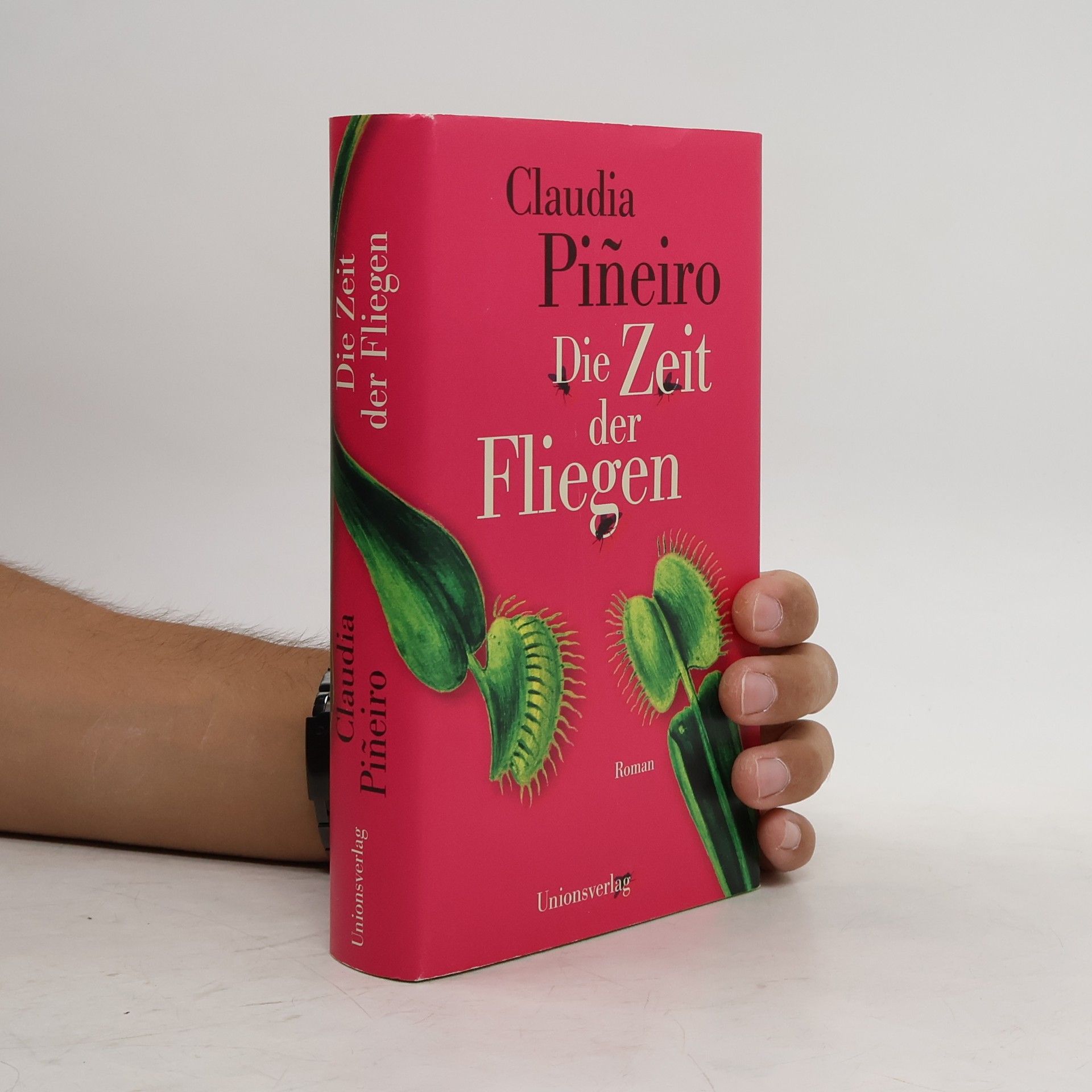 Claudia Piñeiro Die Zeit der Fliegen