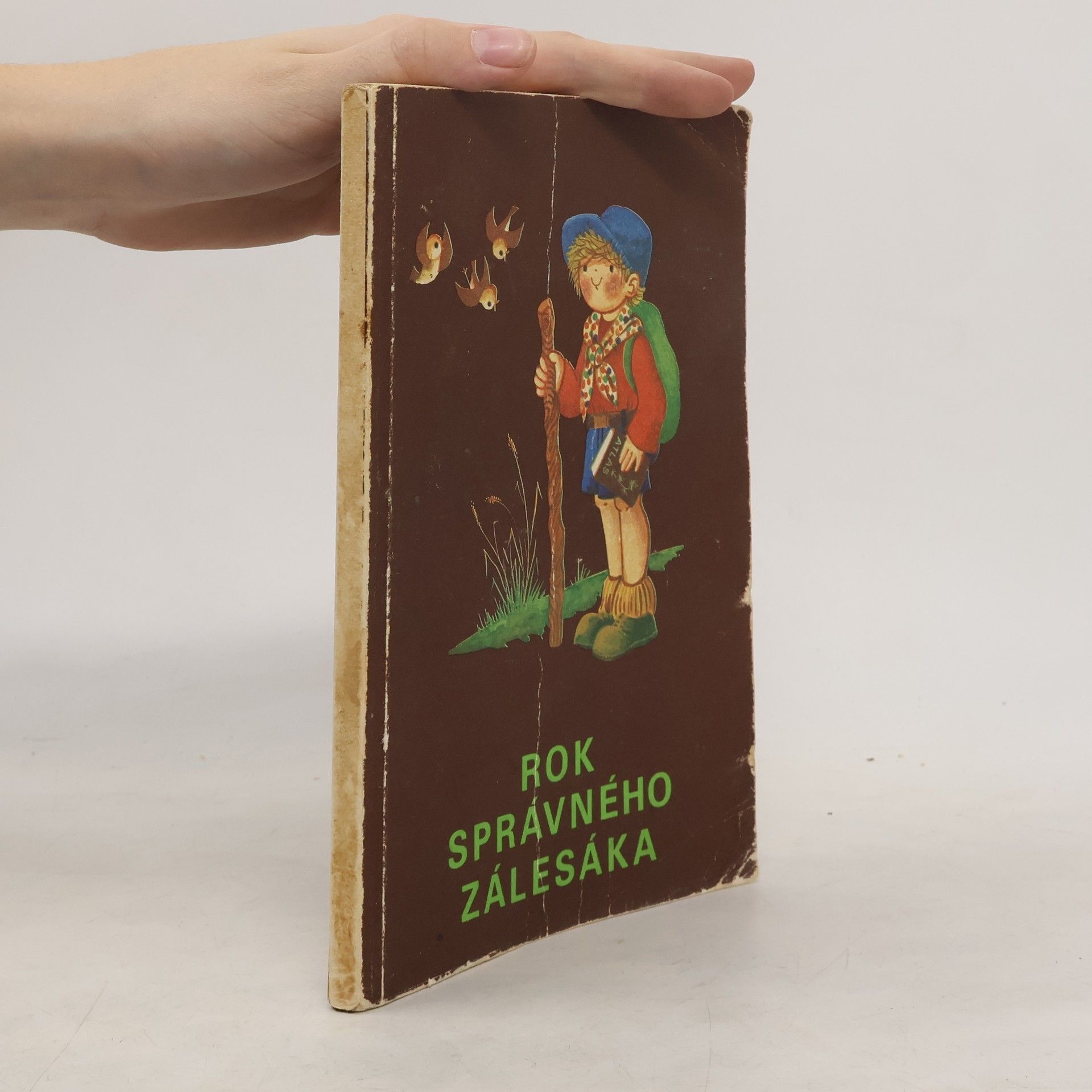 Autorenkollektiv Rok správného zálesáka