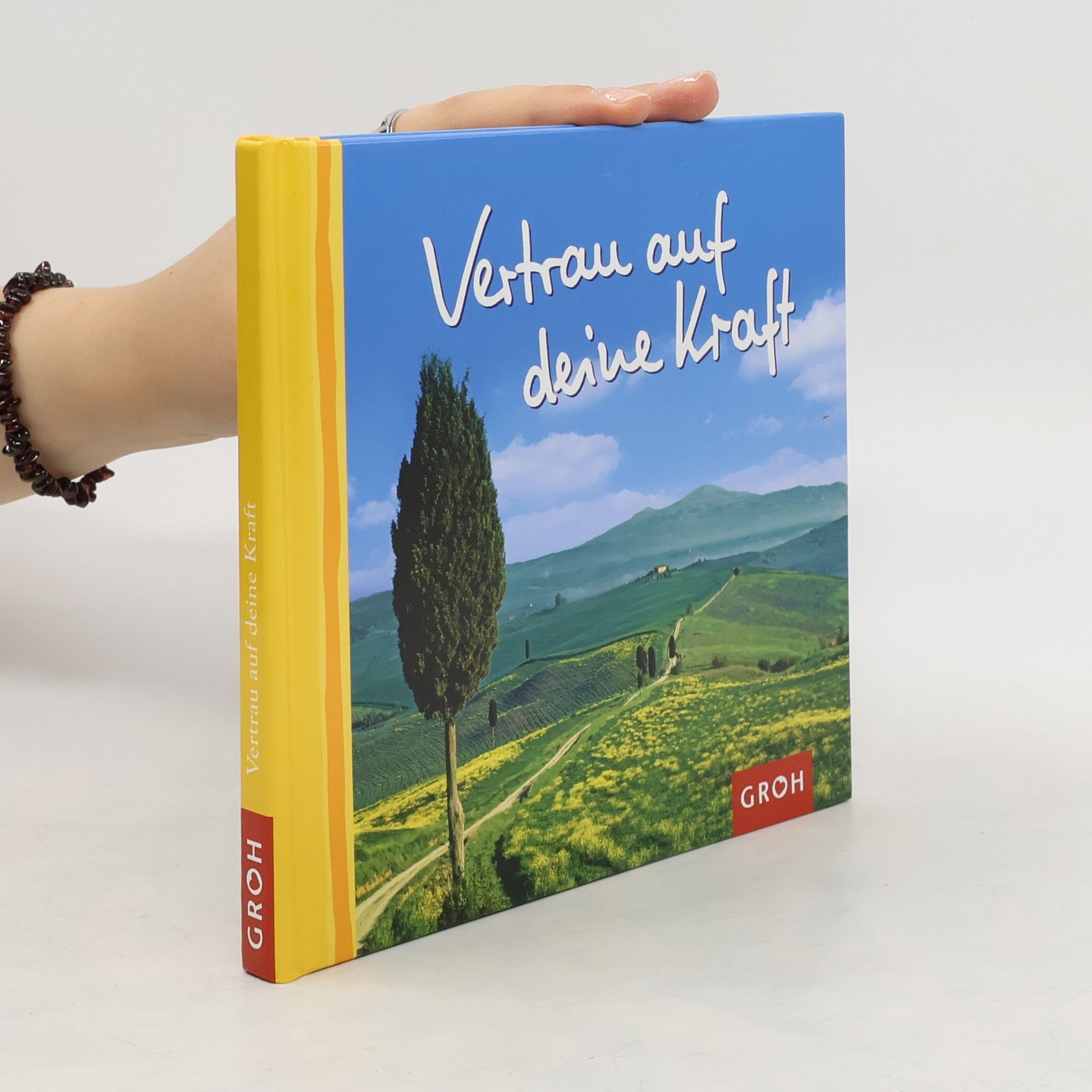 Ashley Lippert Vertrau auf deine Kraft