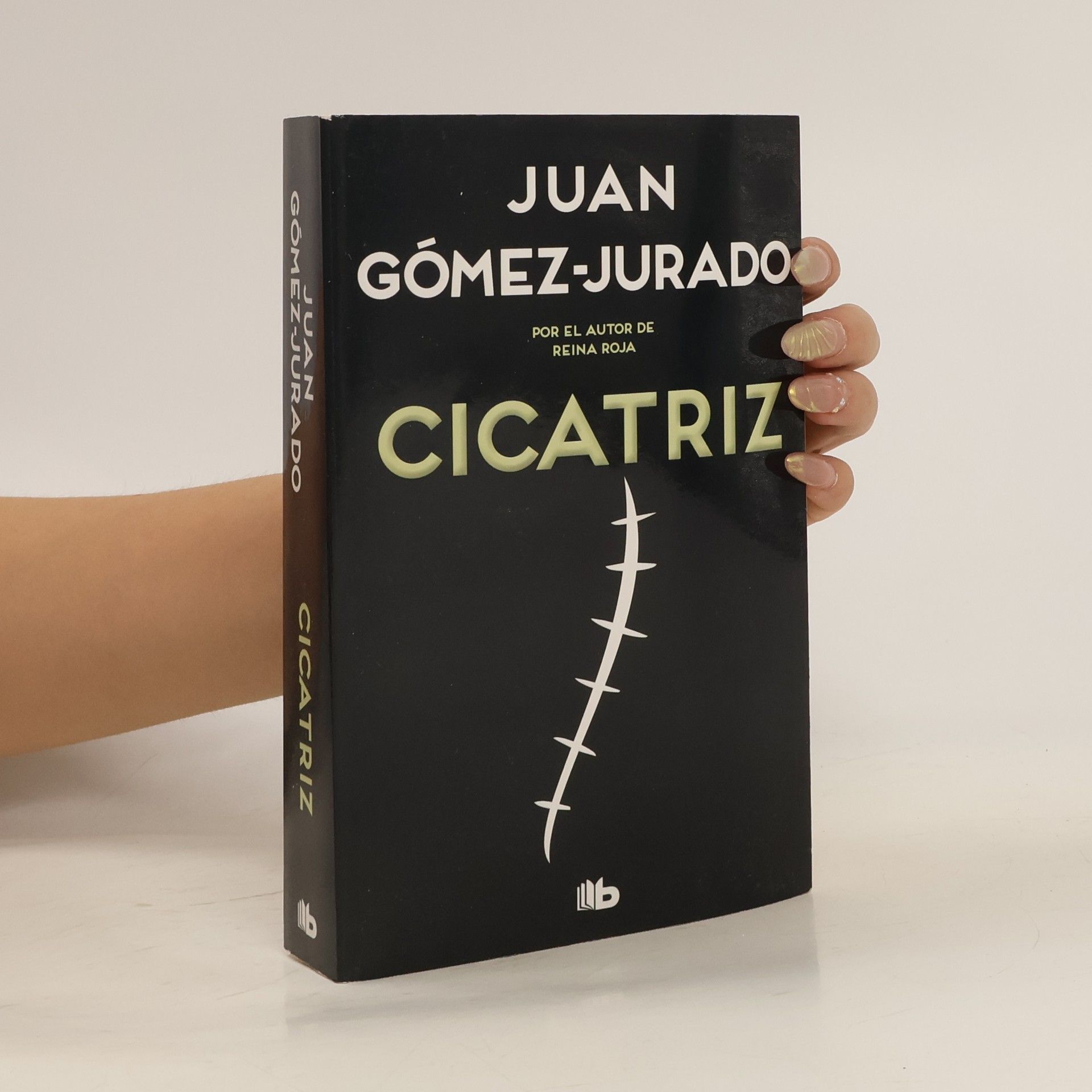 Juan Gómez-Jurado Cicatriz