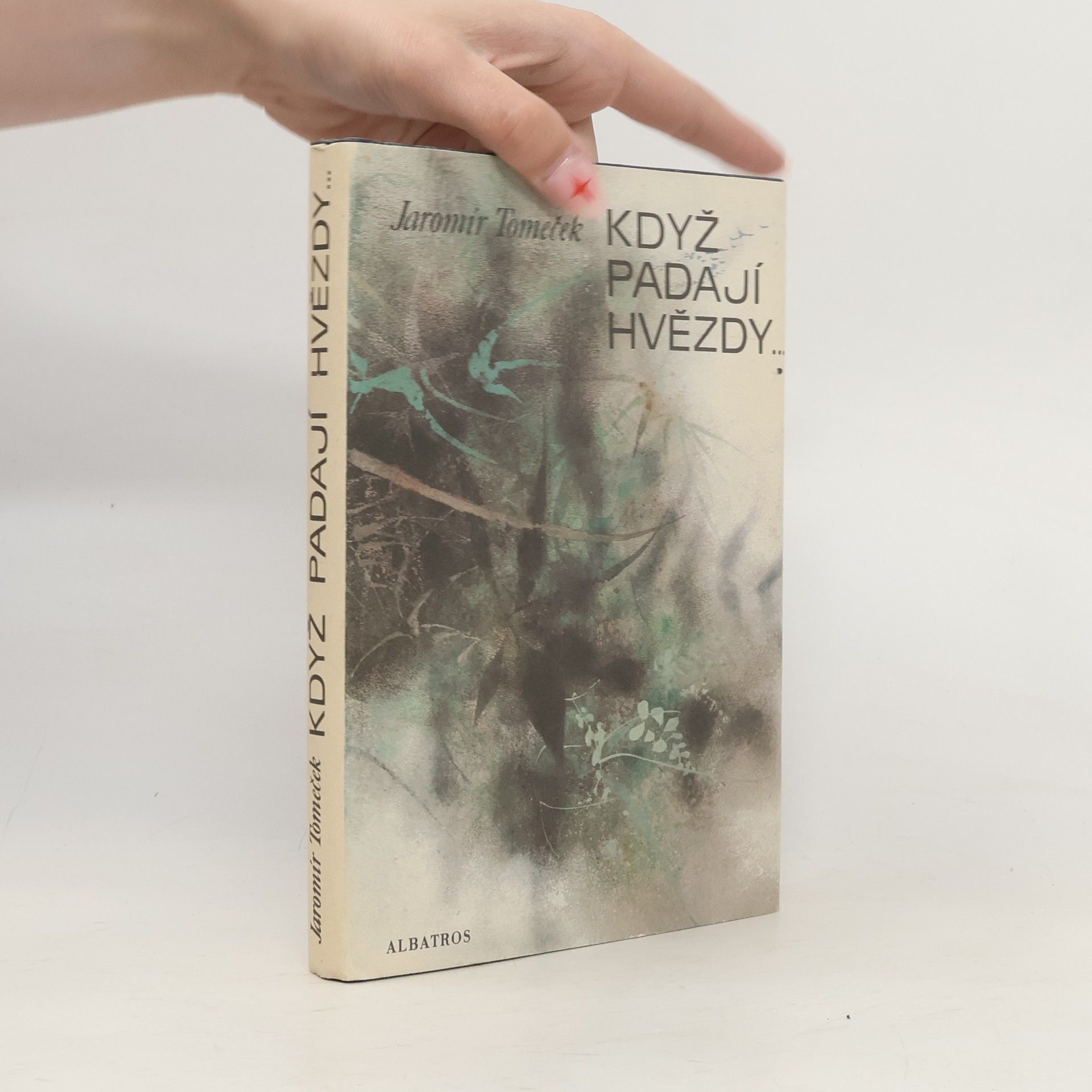 Jaromír Tomeček Když padají hvězdy