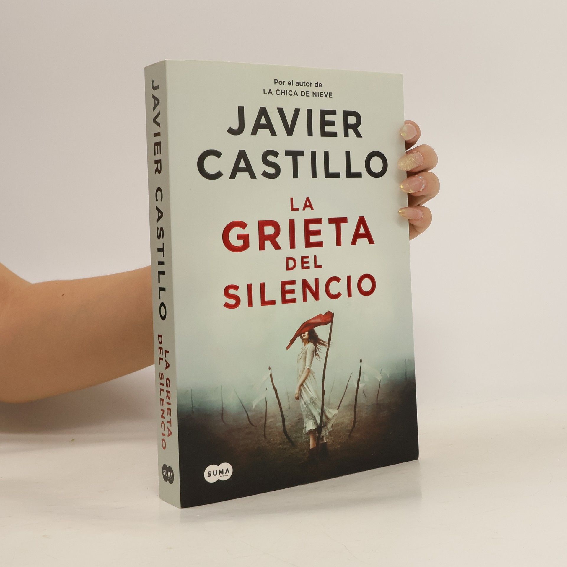 Javier Castillo La Grieta del Silencio