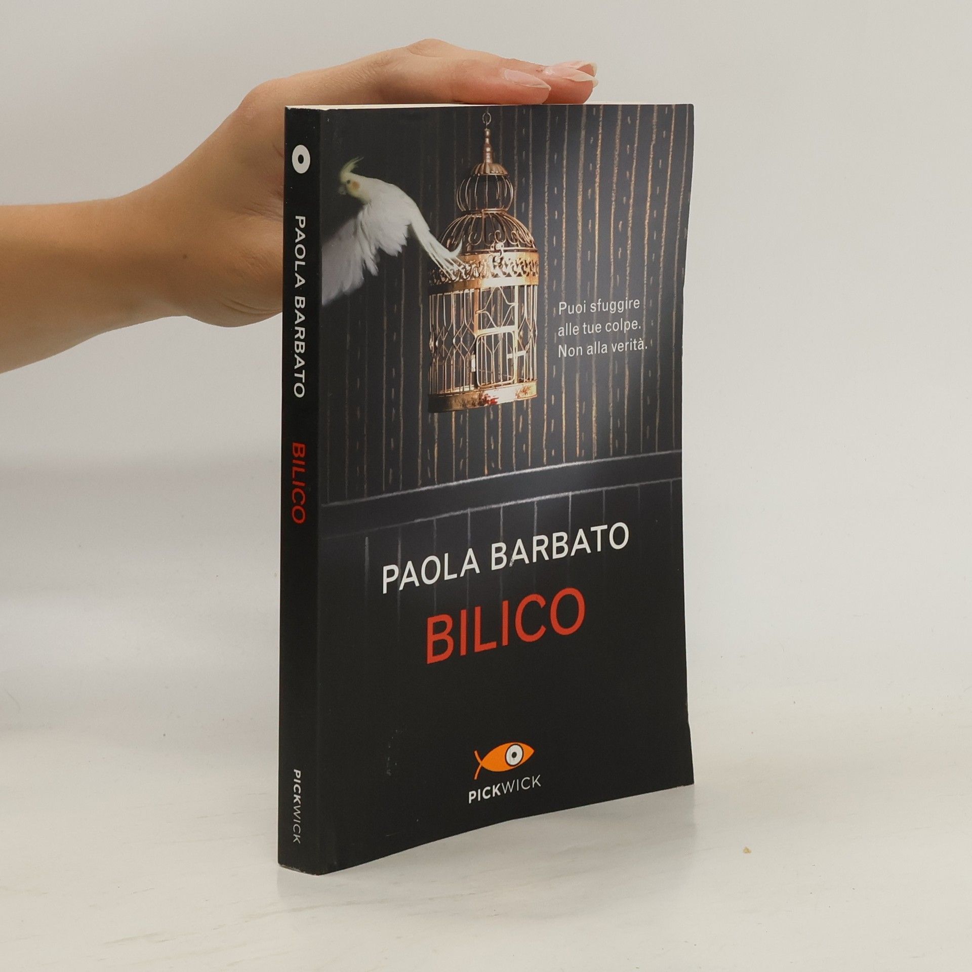 Paola Barbato Bilico