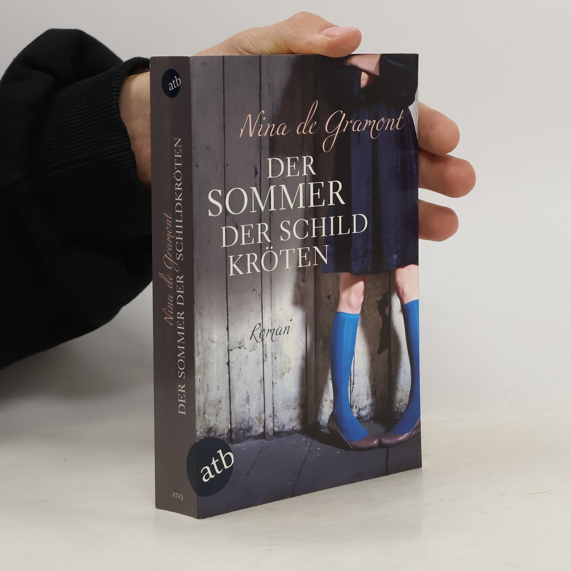 Nina de Gramont Der Sommer der Schildkröten