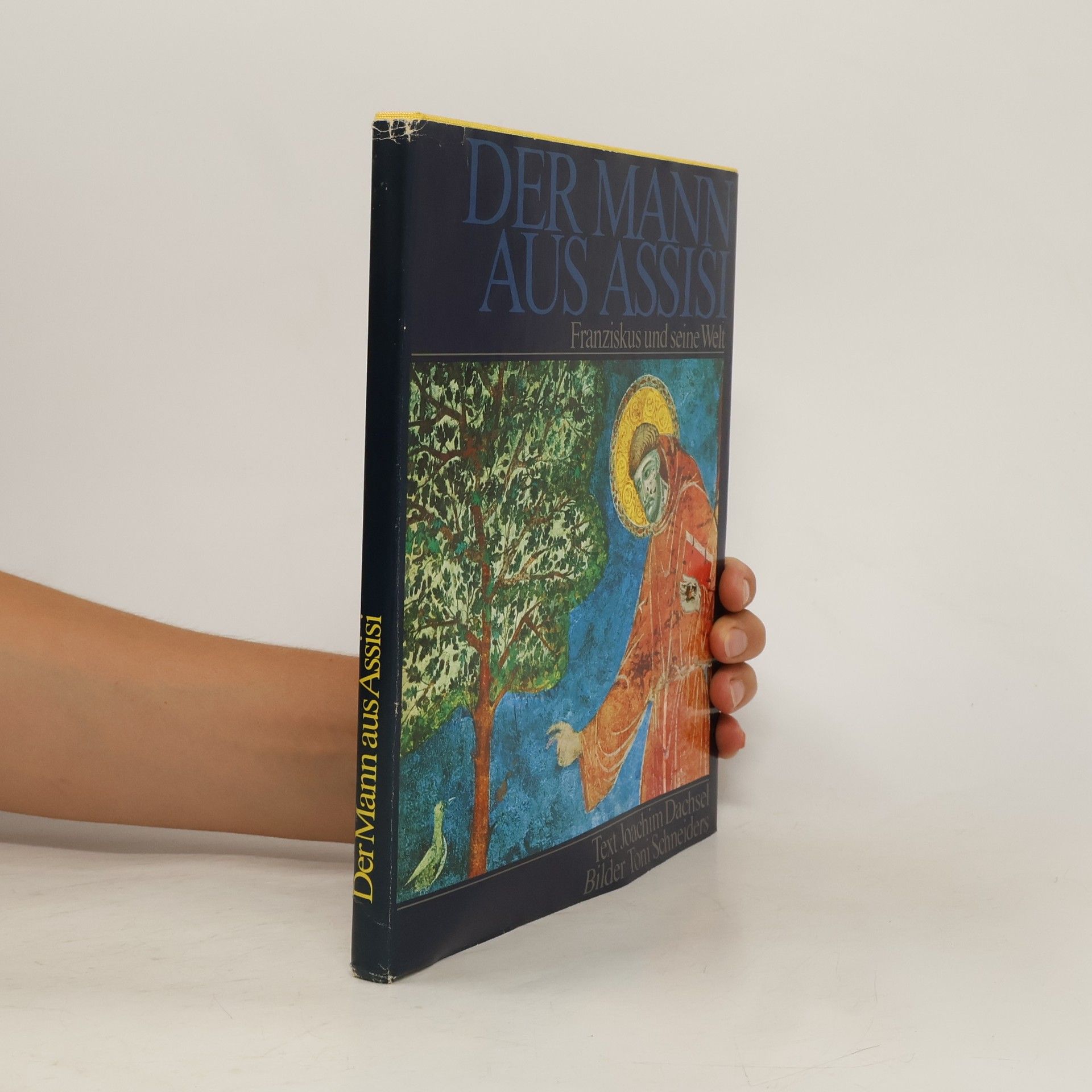 Autorenkollektiv Der Mann aus Assisi. Franziskus und seine Welt