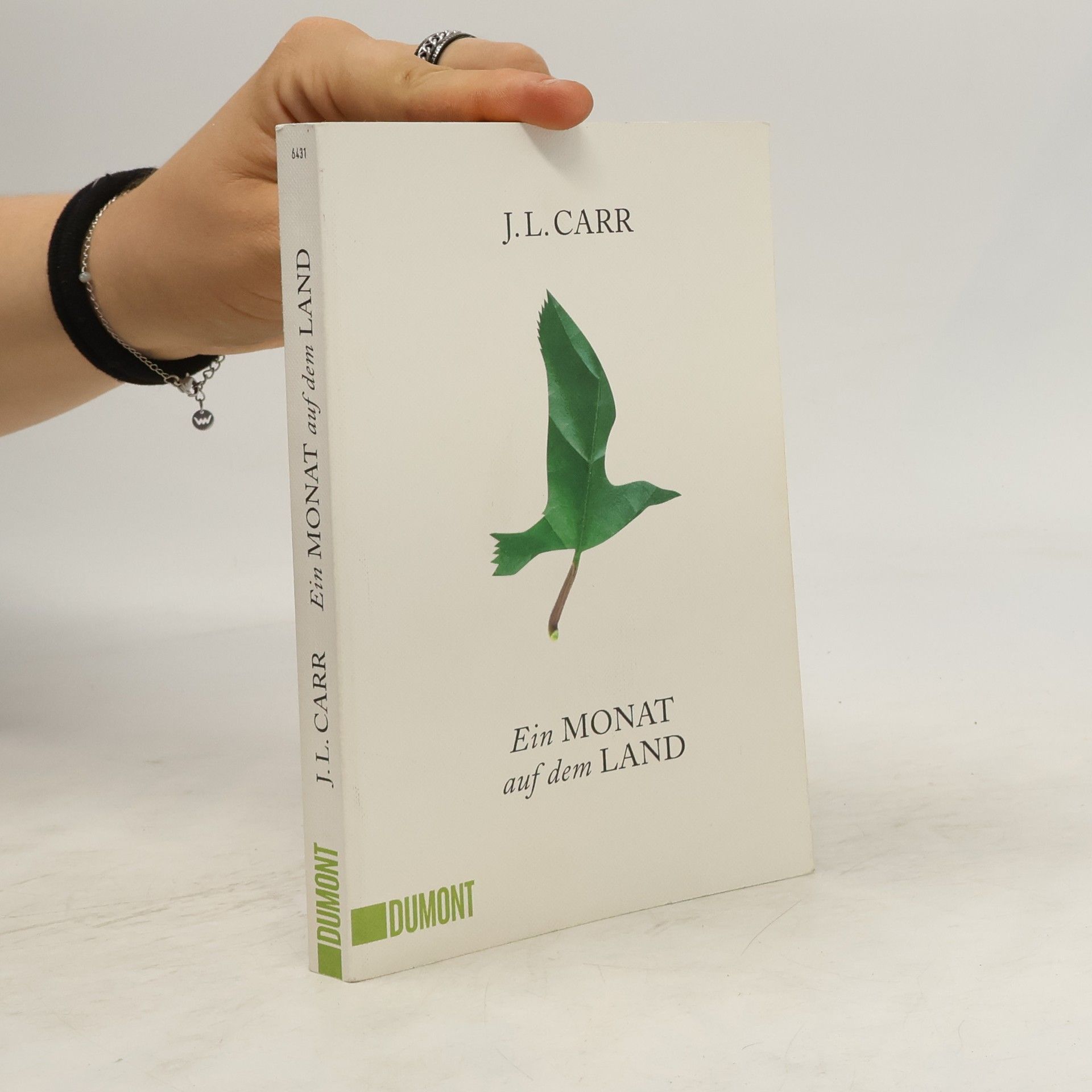 J. L. Carr Ein Monat auf dem Land