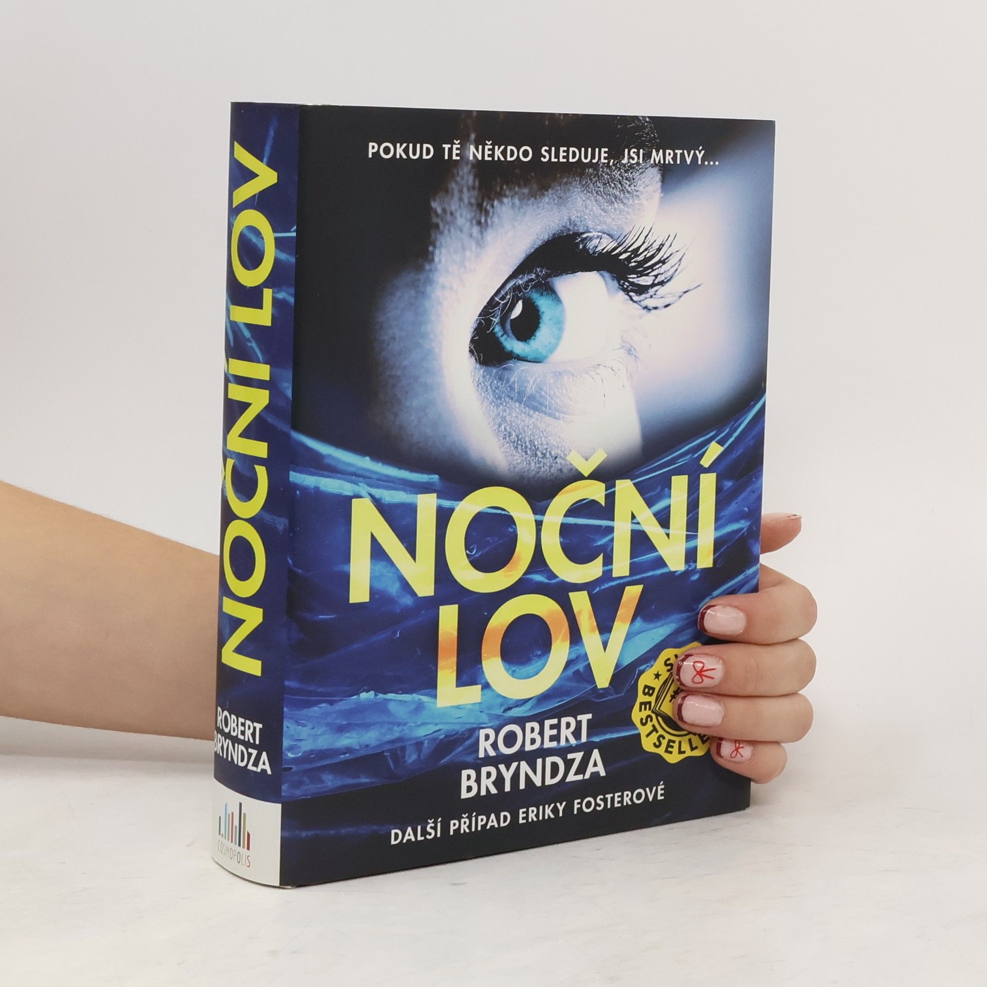 Robert Bryndza Noční lov