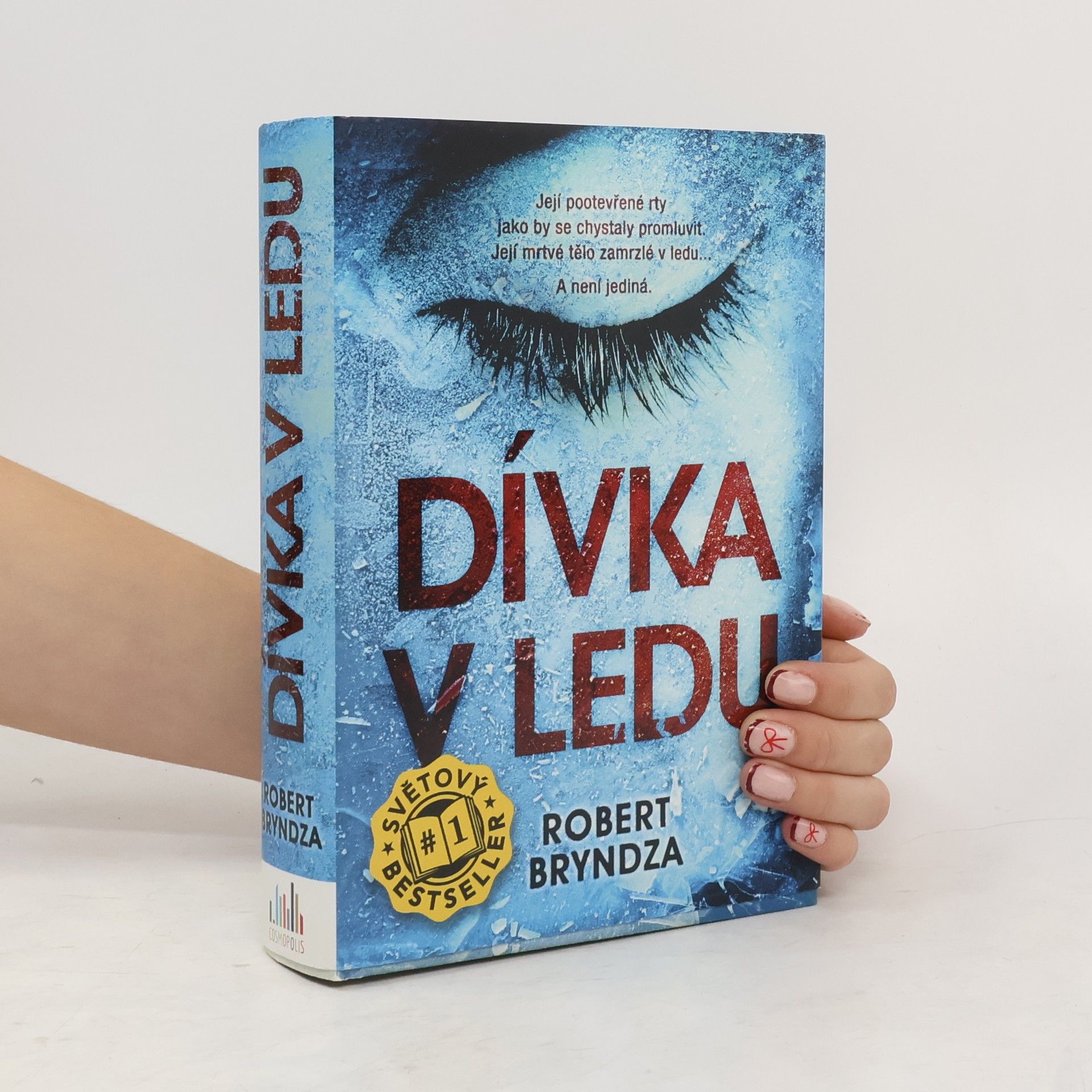 Robert Bryndza Dívka v ledu