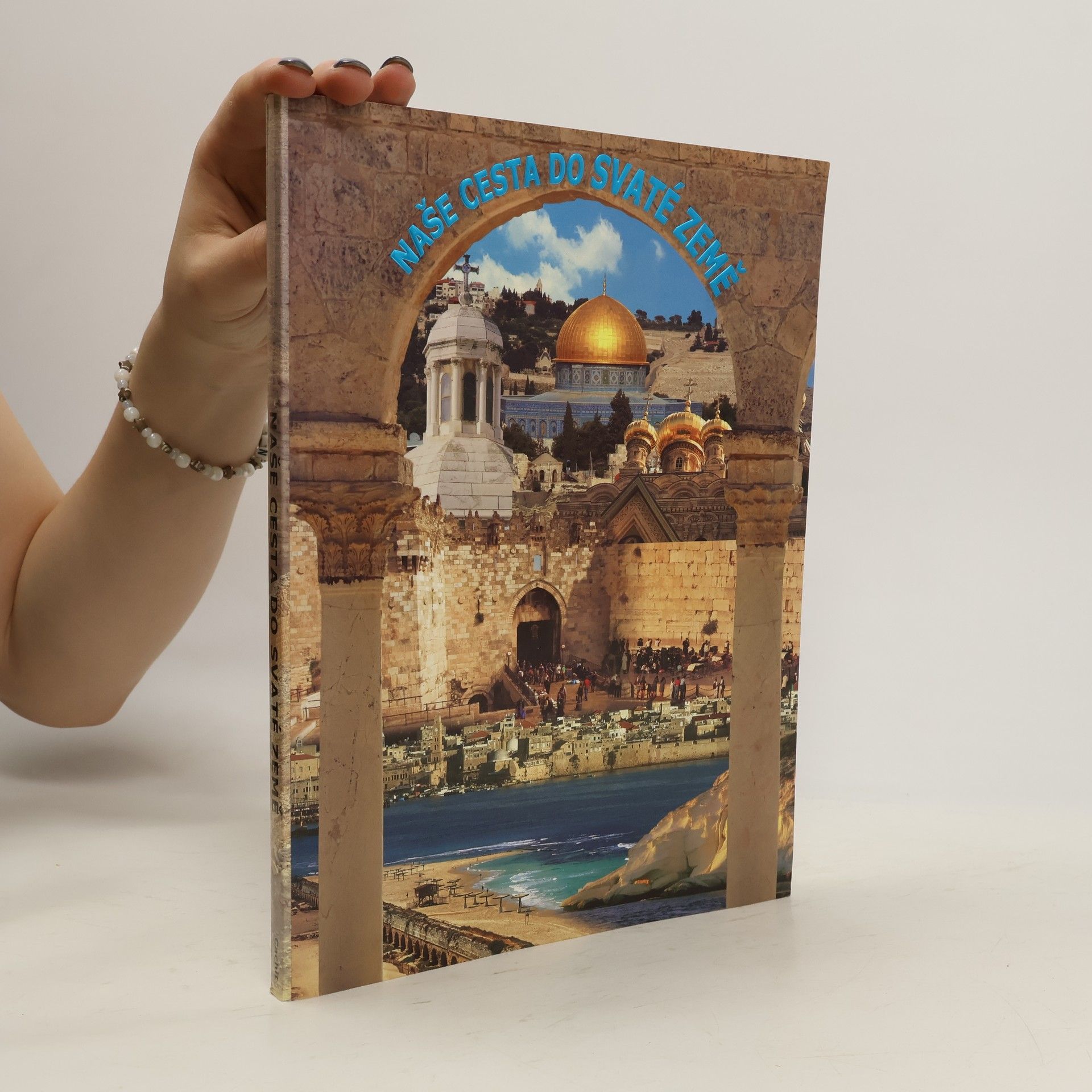 Various authors Naše cesta do Svaté země