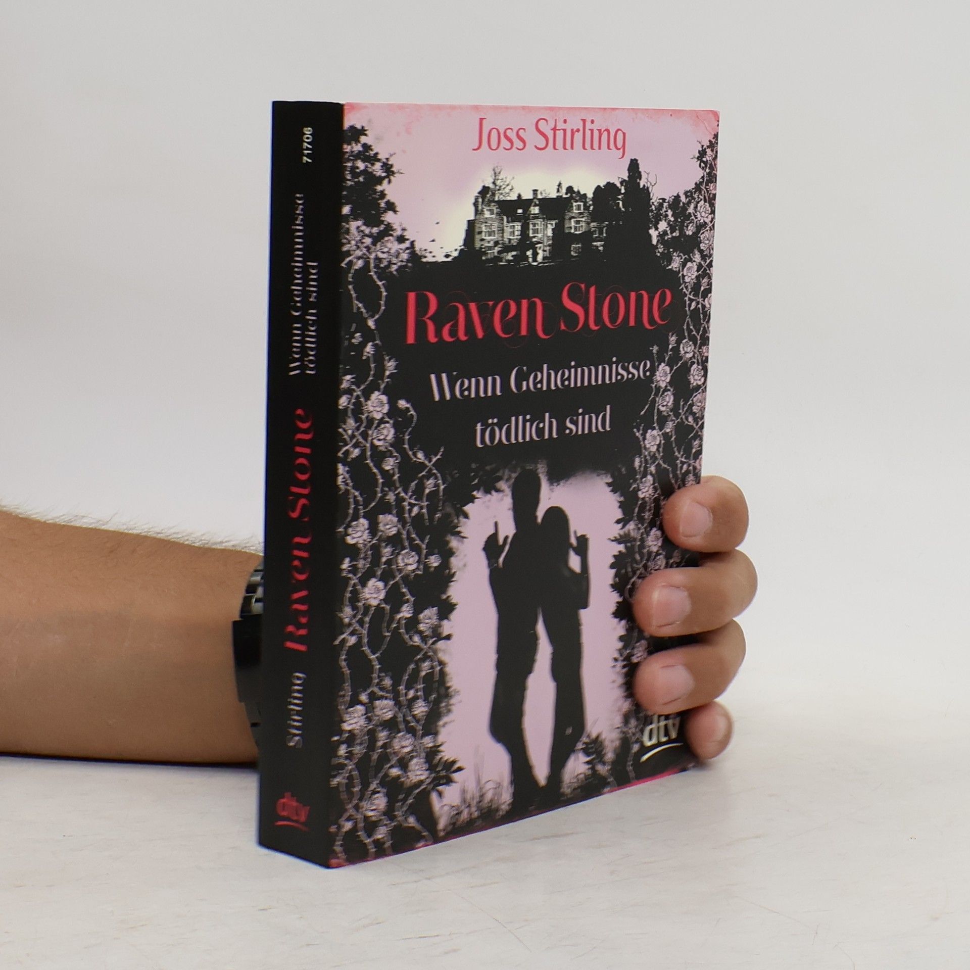 Julia Golding Raven Stone - Wenn Geheimnisse tödlich sind