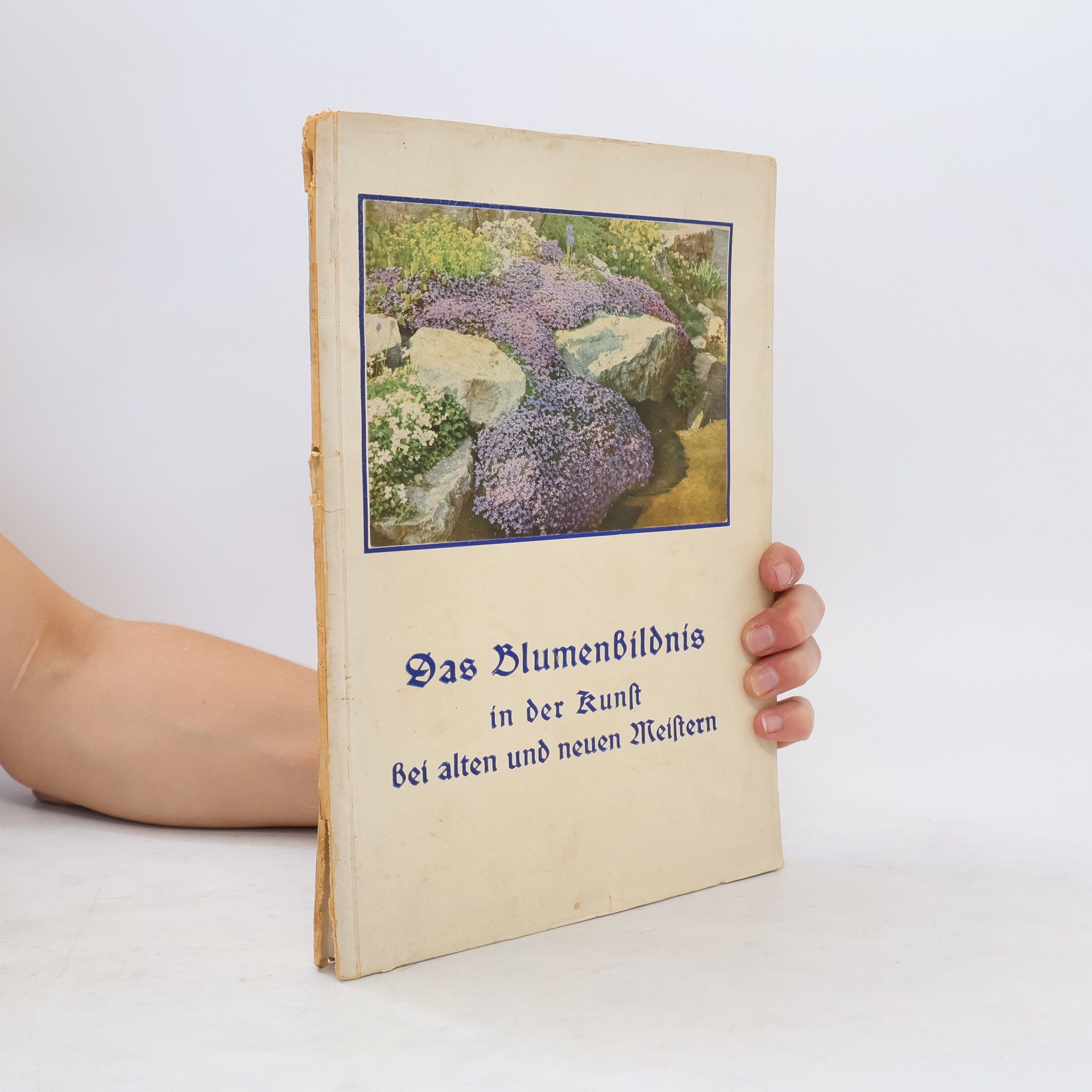 Kolektiv autorů Das Blumenbildnis bei alten und neuen Meistern