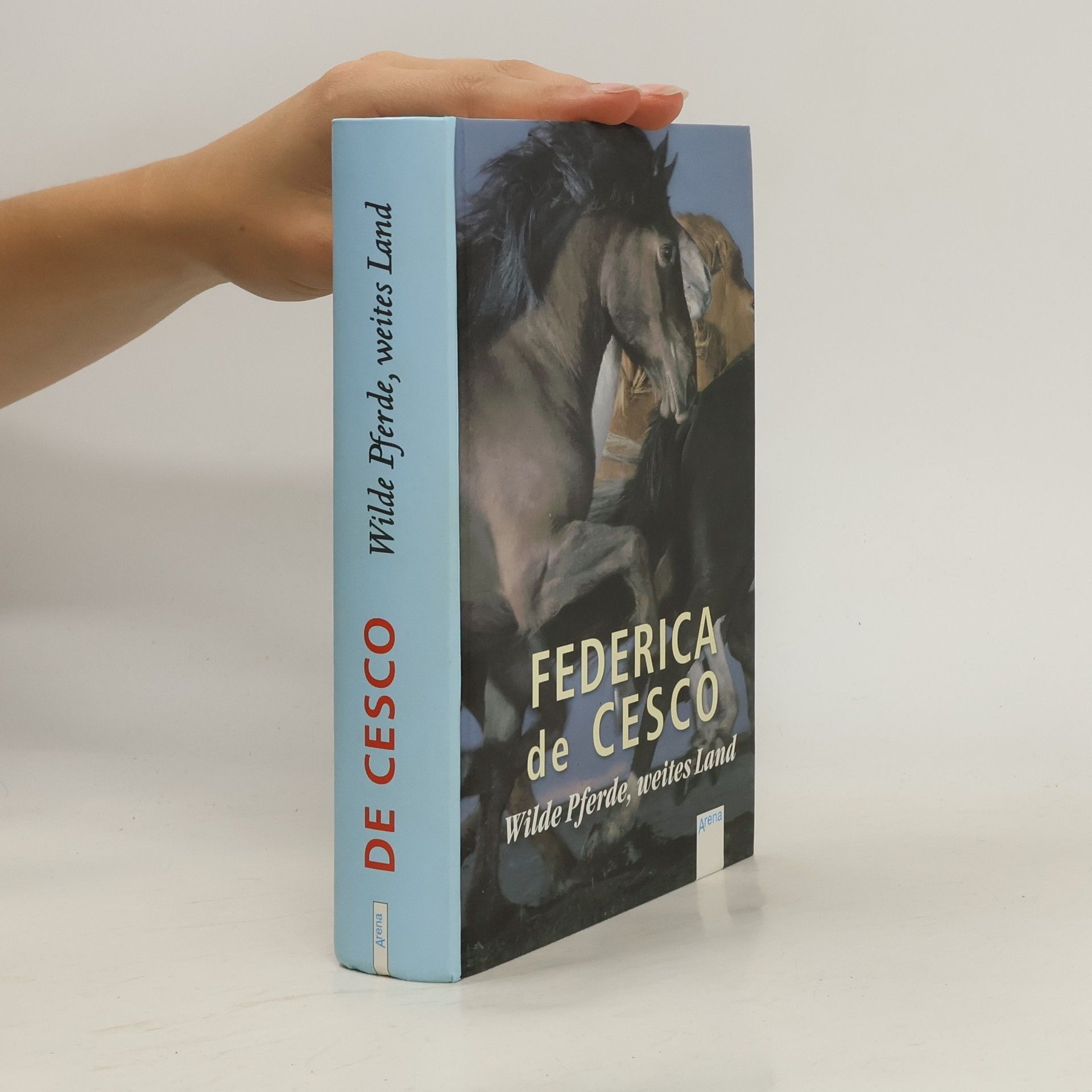 Federica de Cesco Wilde Pferde, weites Land