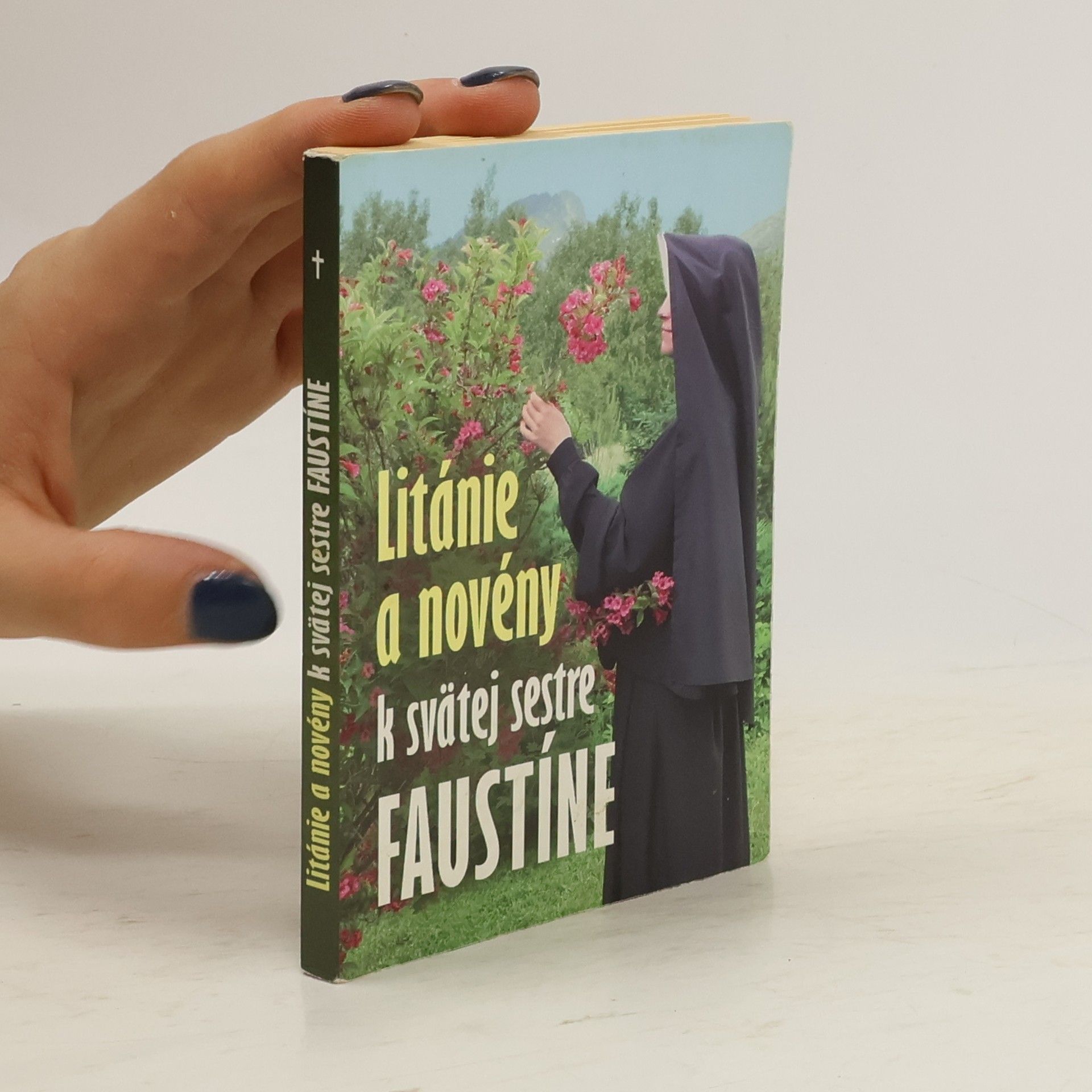 kolektiv Litánie a novény k svätej sestre Faustíne