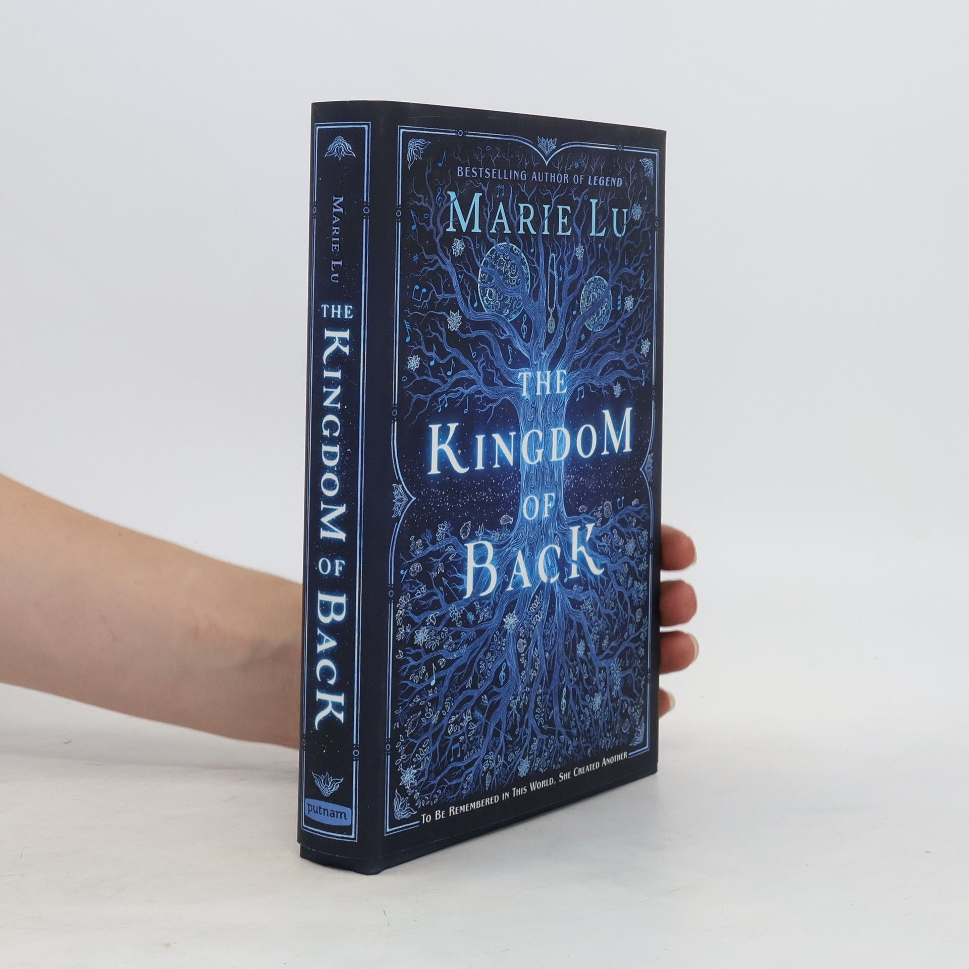 Marie Lu The Kingdom of Back