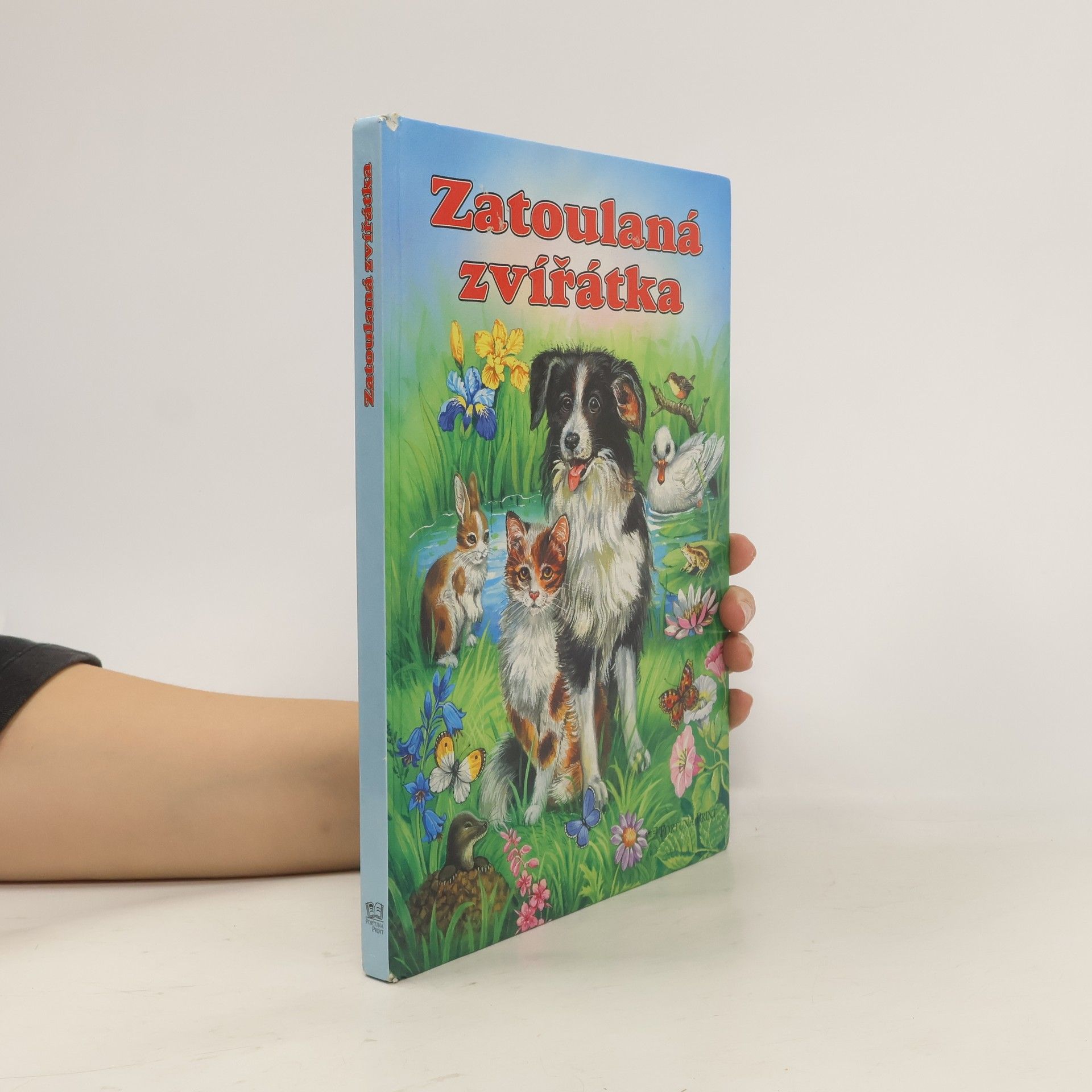 Katja Epes Zatoulaná zvířátka