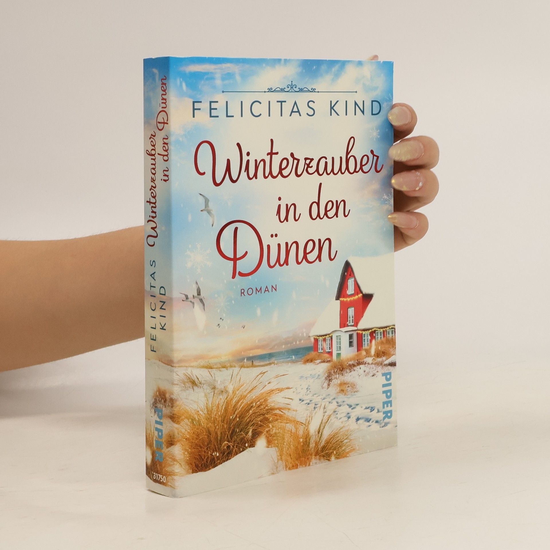 Felicitas Kind Winterzauber in den Dünen