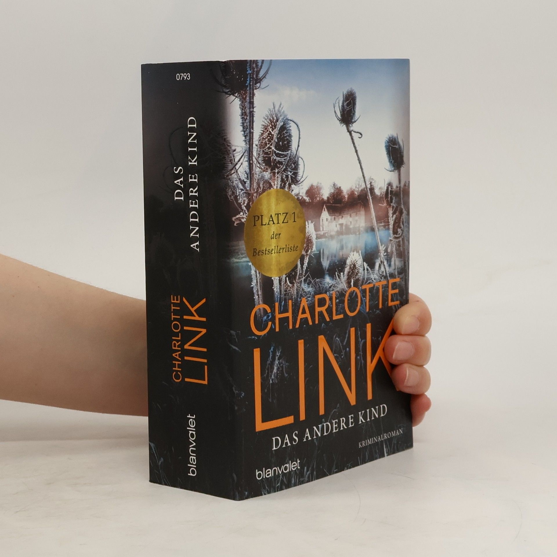 Charlotte Link Das andere Kind