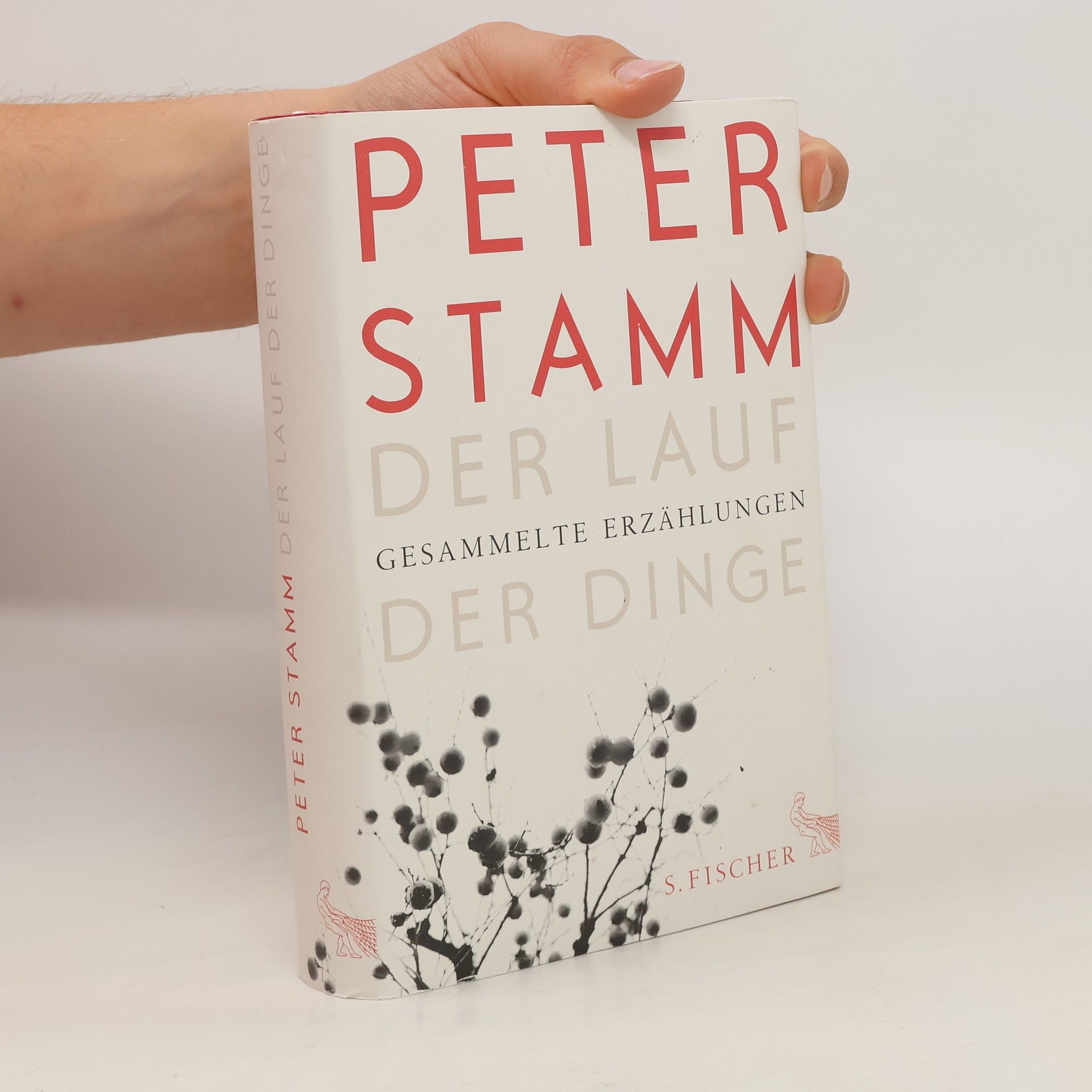 Peter Stamm Der Lauf der Dinge