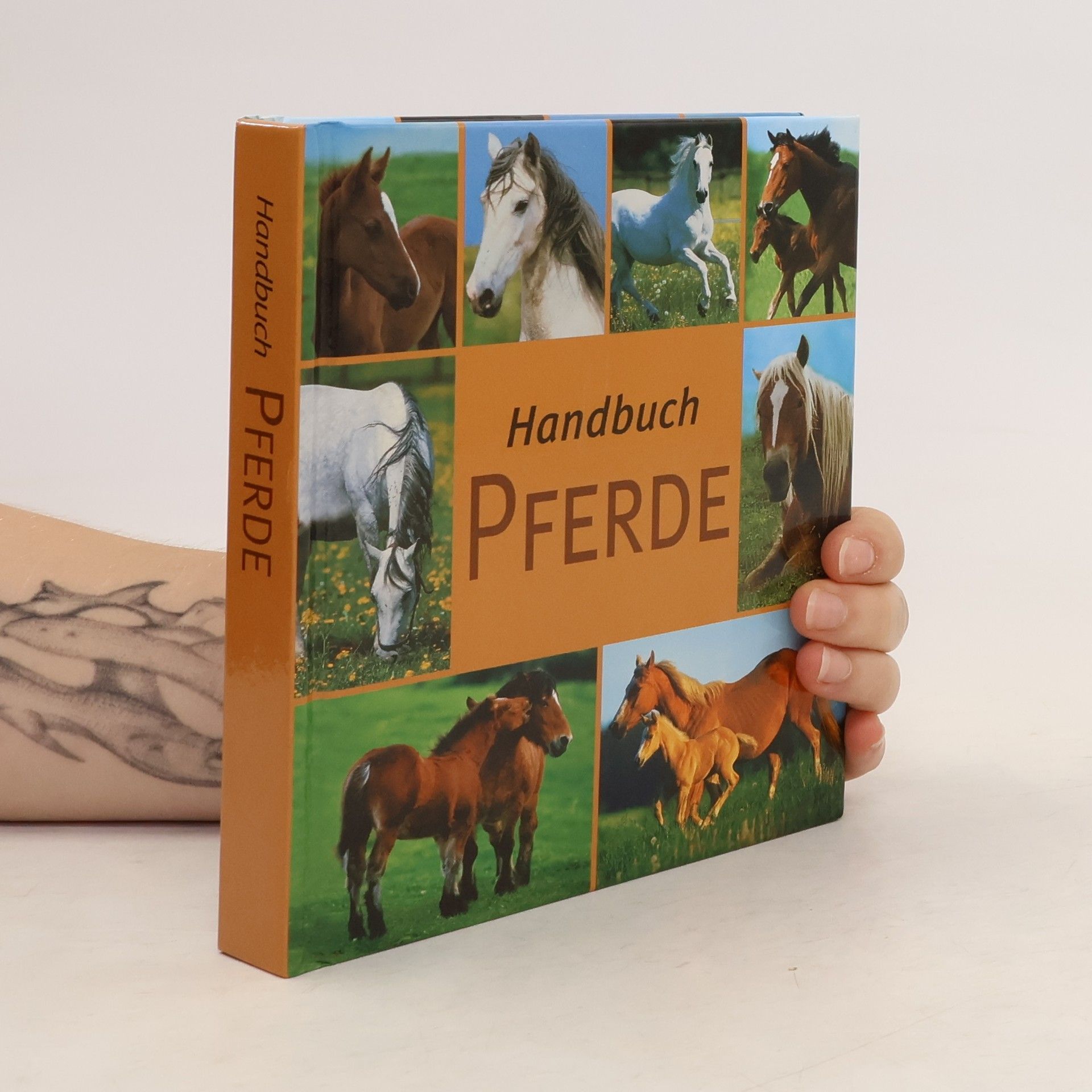 Collectif d'auteurs Handbuch Pferde