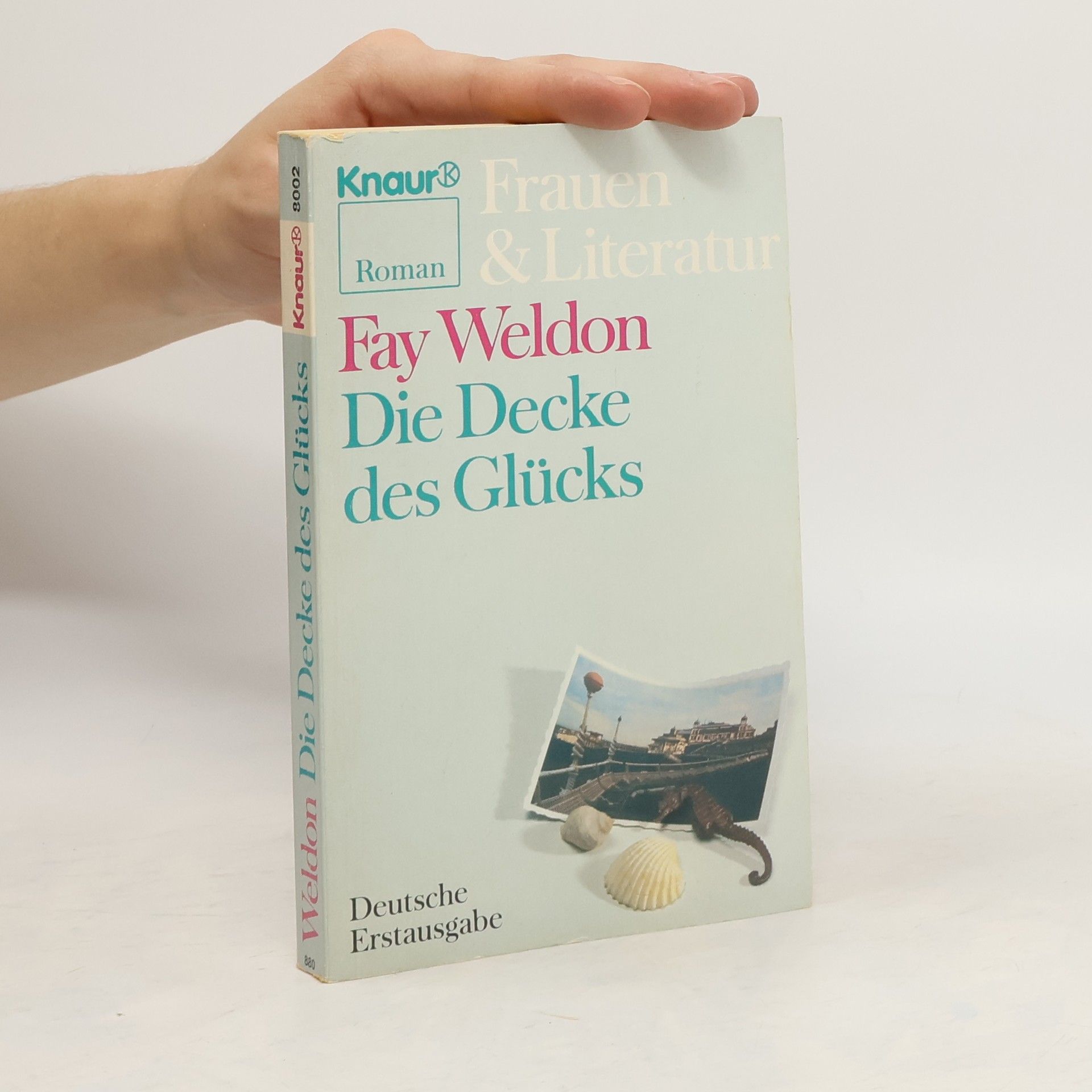 Fay Weldon Die Decke des Glücks