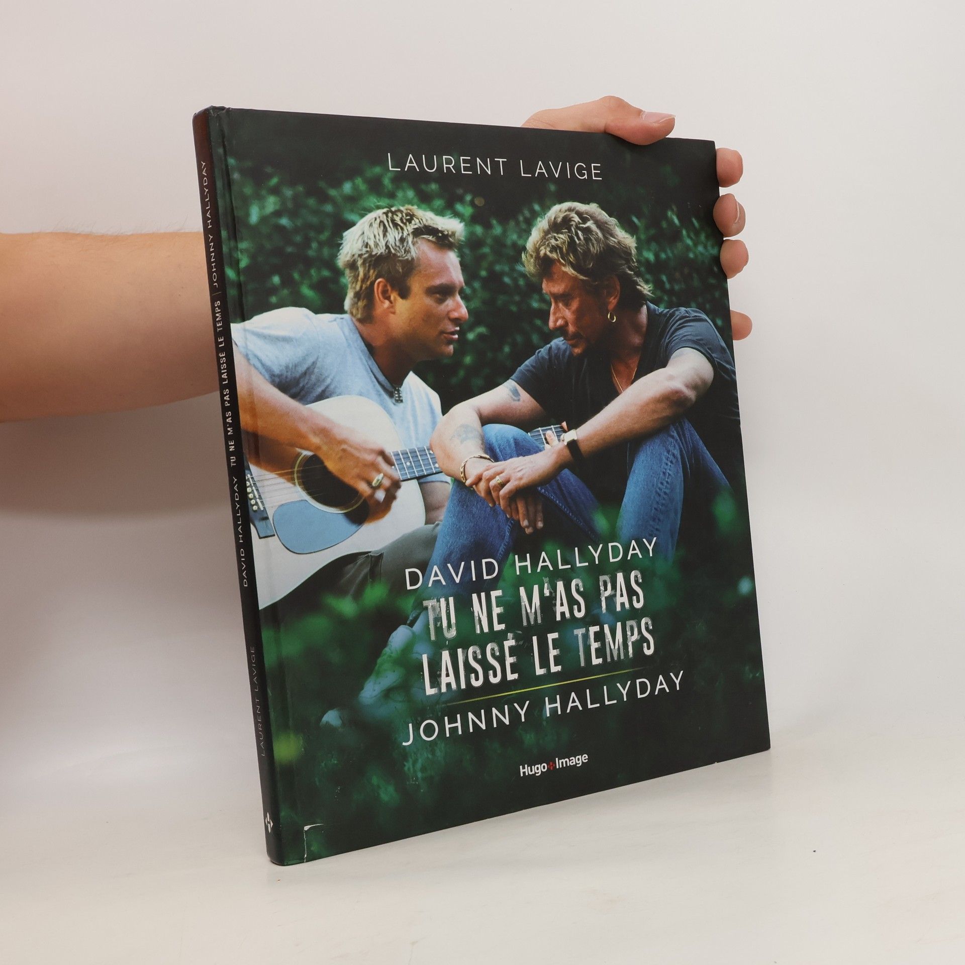 Laurent Lavige David Hallyday, tu ne m'as pas laissé le temps, Johnny Hallyday