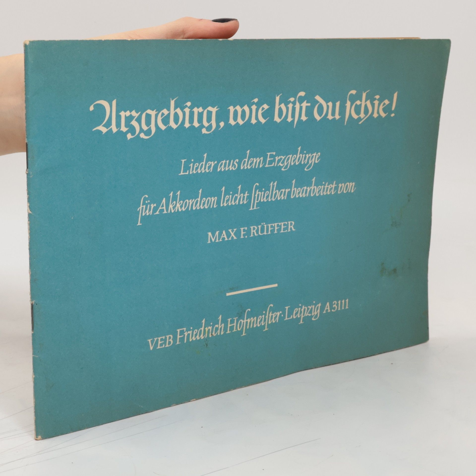 Max. F. Rüffer Arzgebirg, wie bist du schie!