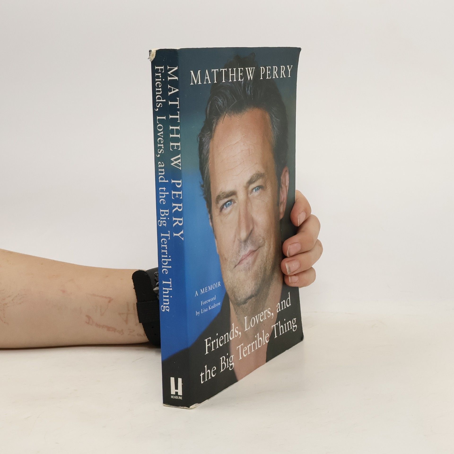 Matthew Perry Friends, lovers, and the big terrible thing