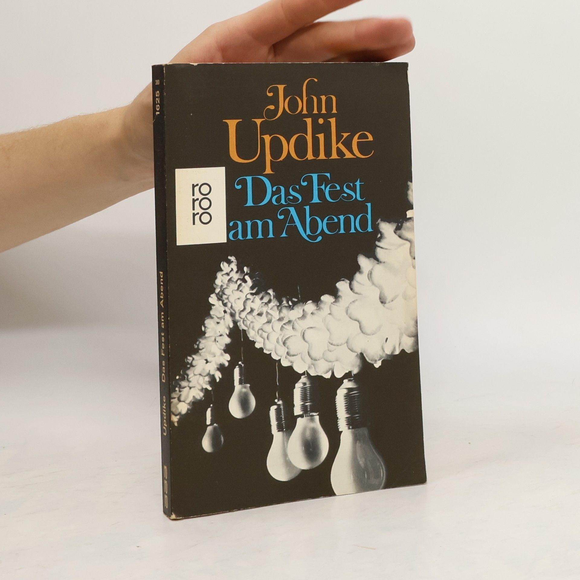 John Updike Das Fest am Abend