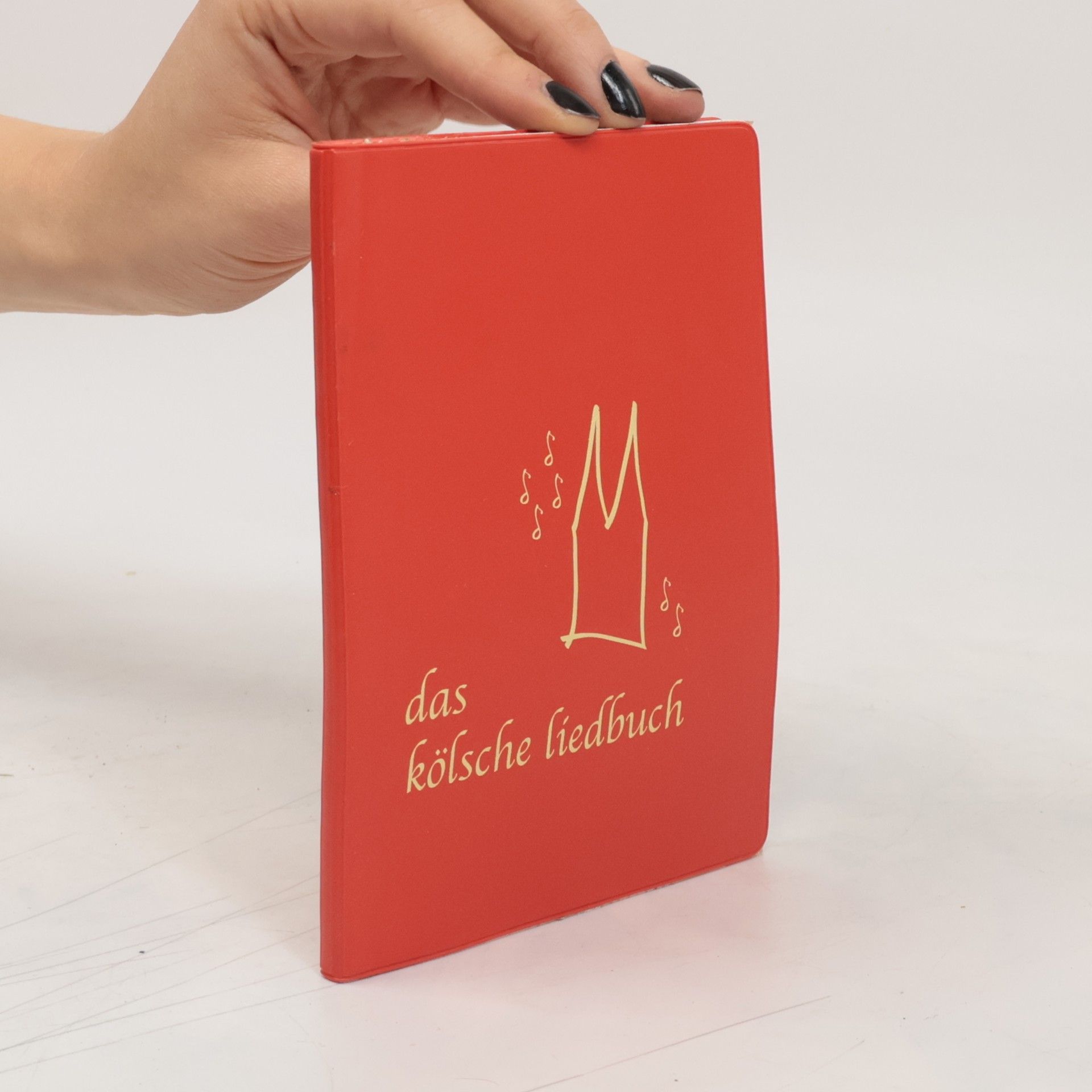 Stephan Meyer Das Kölsche Liedbuch