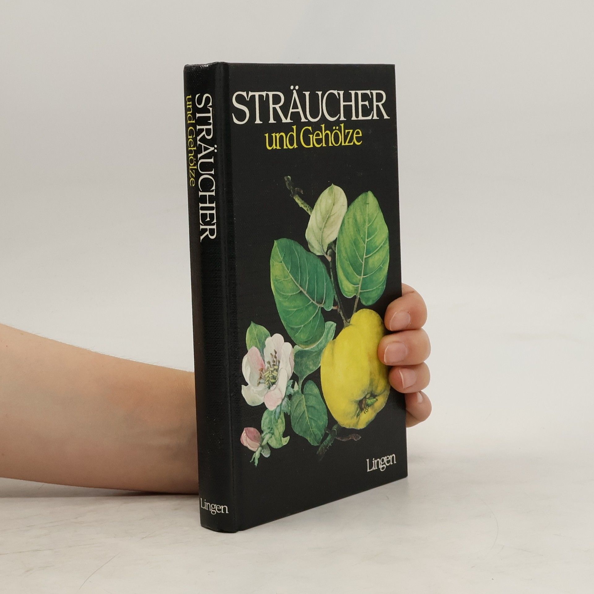 Collectif d'auteurs Sträucher und Gehölze