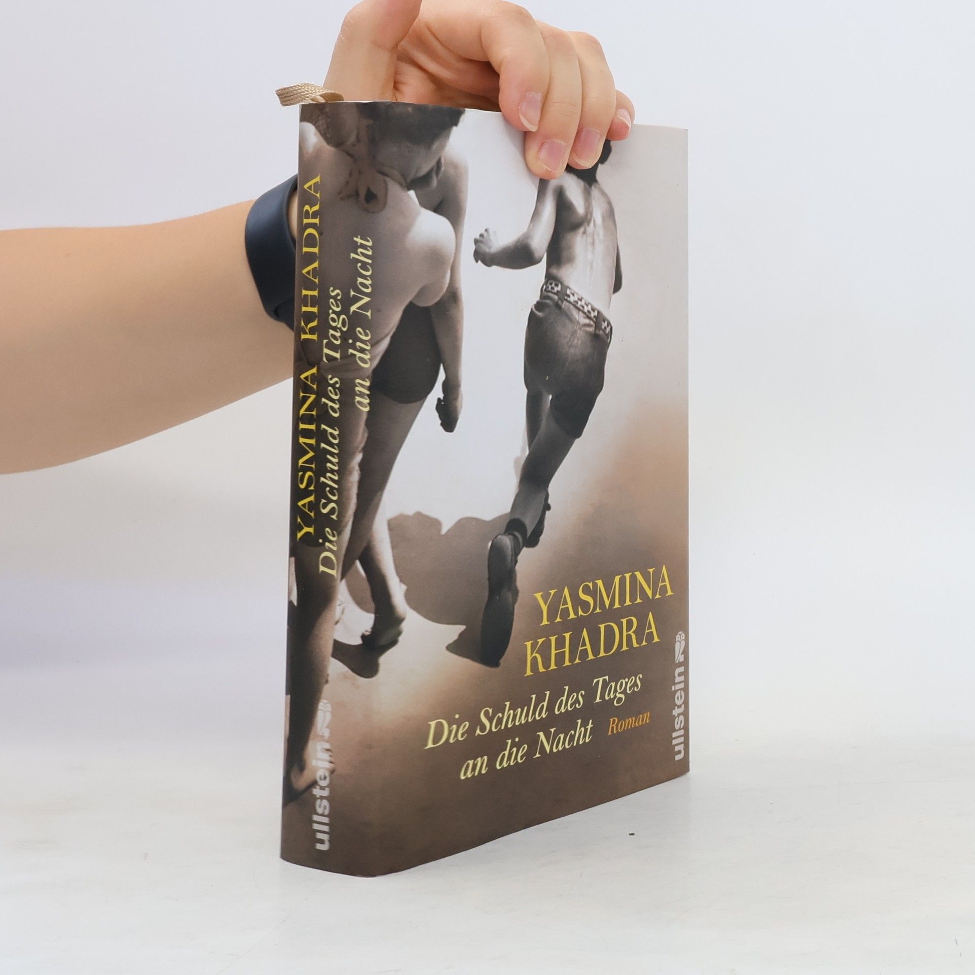 Yasmina Khadra Die Schuld des Tages an die Nacht