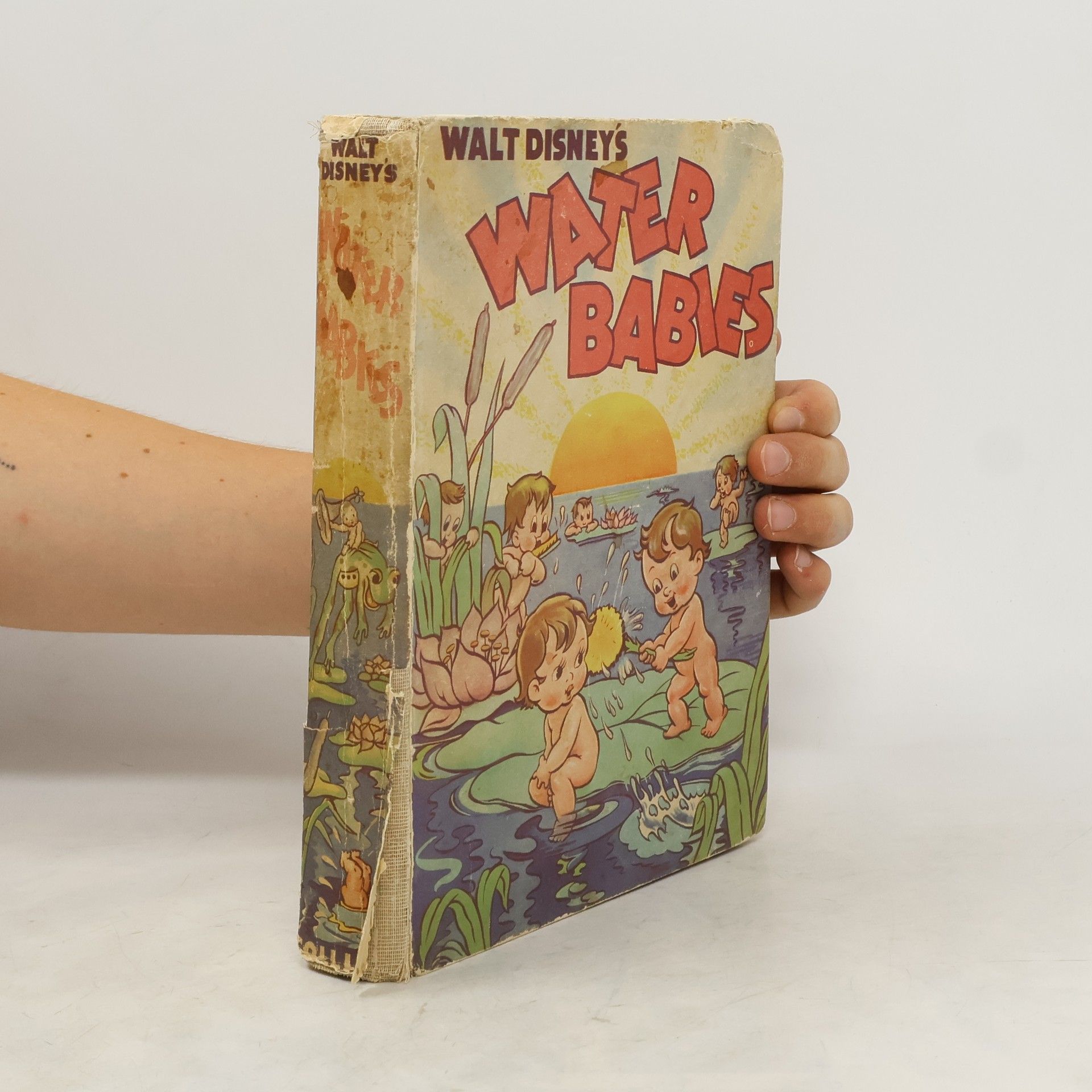 Collectif d'auteurs Water Babies