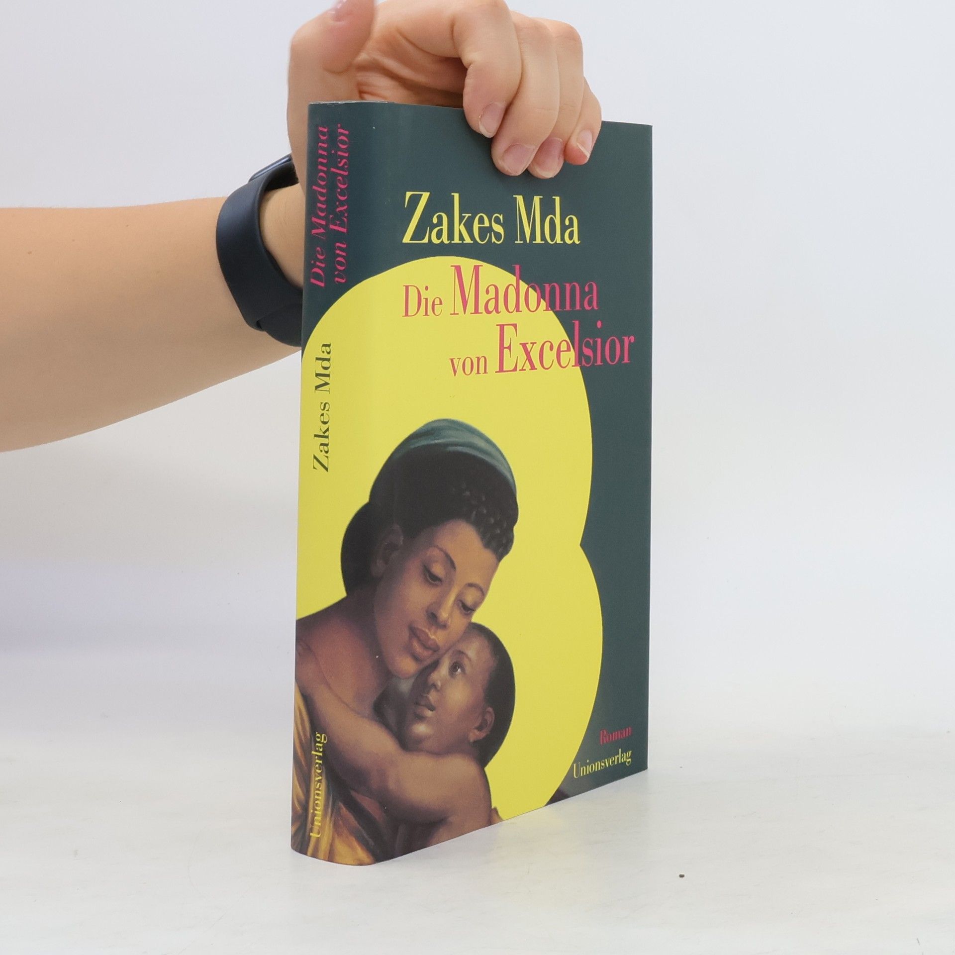 Zakes Mda Die Madonna von Excelsior