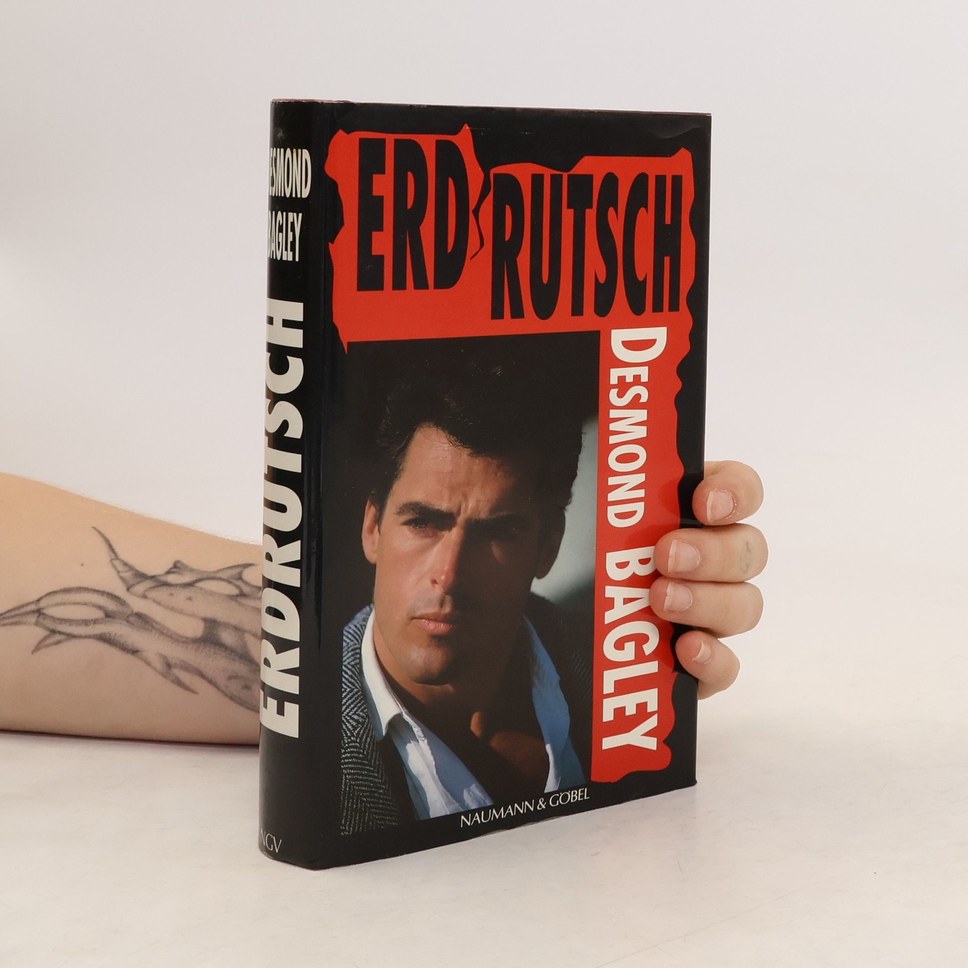 Desmond Bagley Erdrutsch