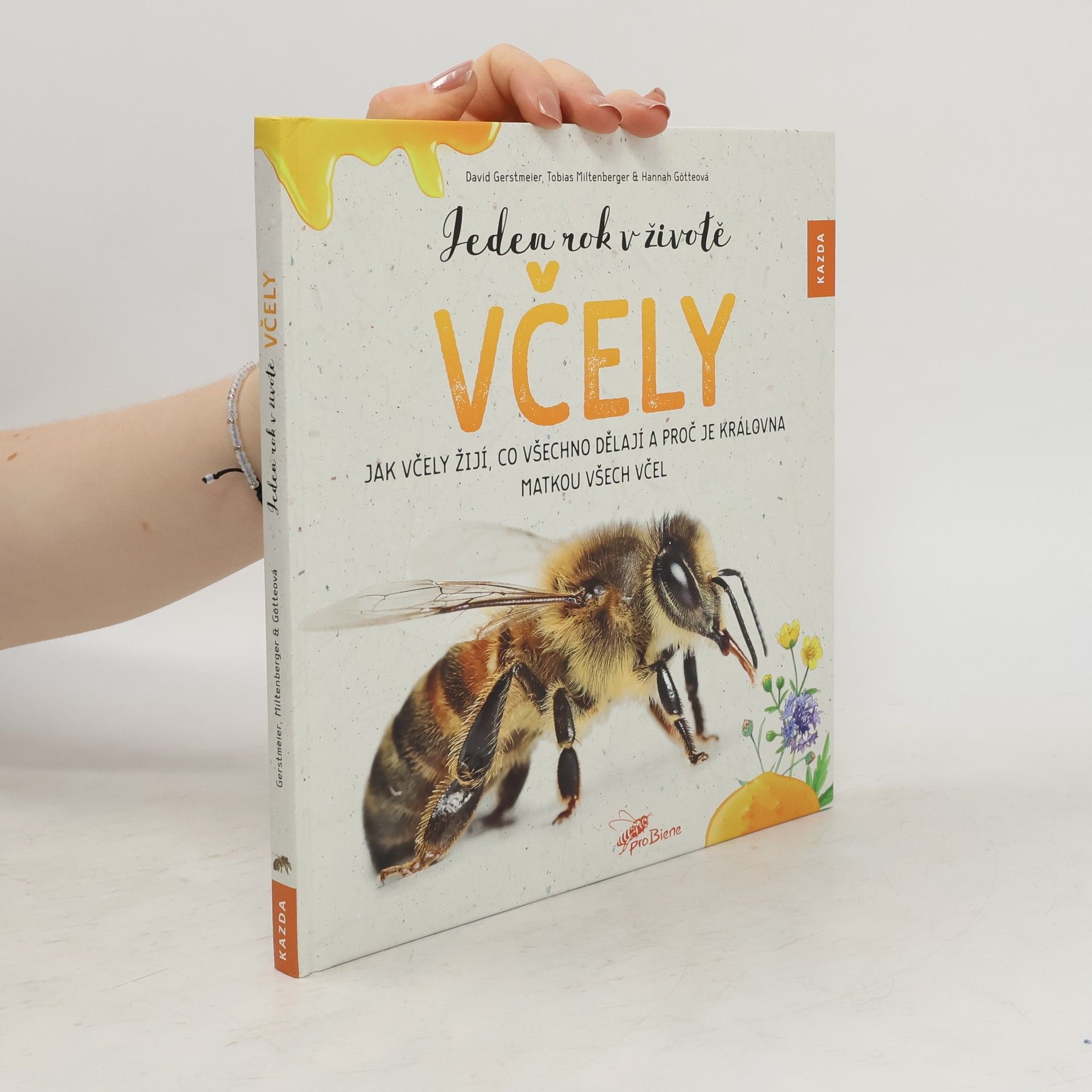 David Gerstmeier Jeden rok v životě včely