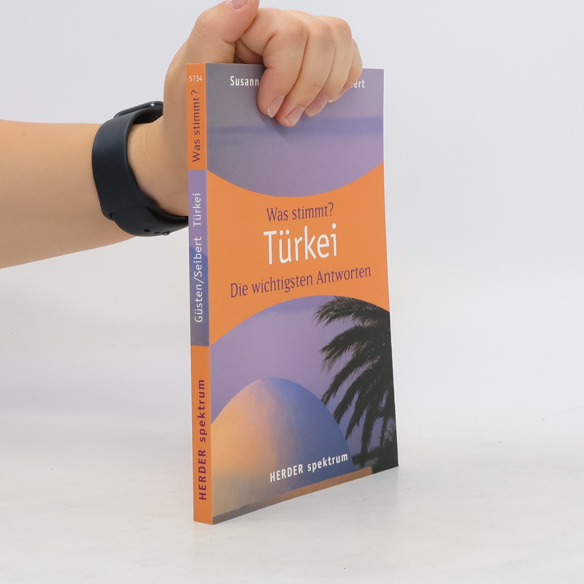 Susanne Güsten Was stimmt? Türkei
