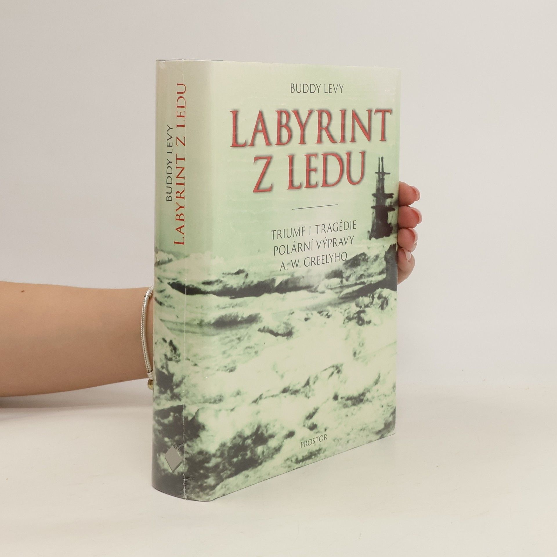 Buddy Levy Labyrint z ledu