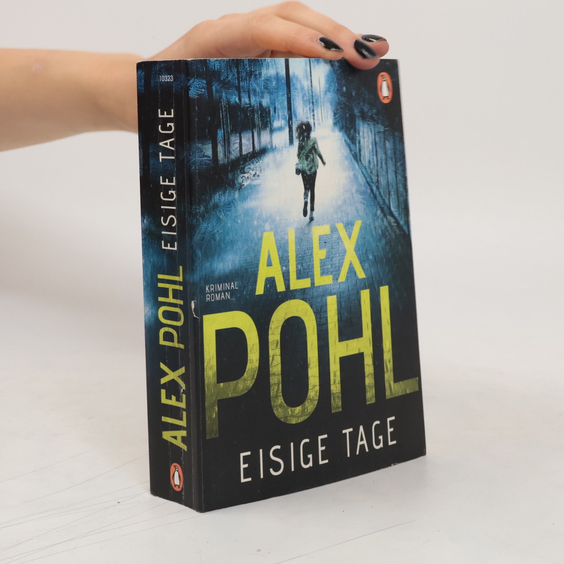 Alex Pohl Eisige Tage