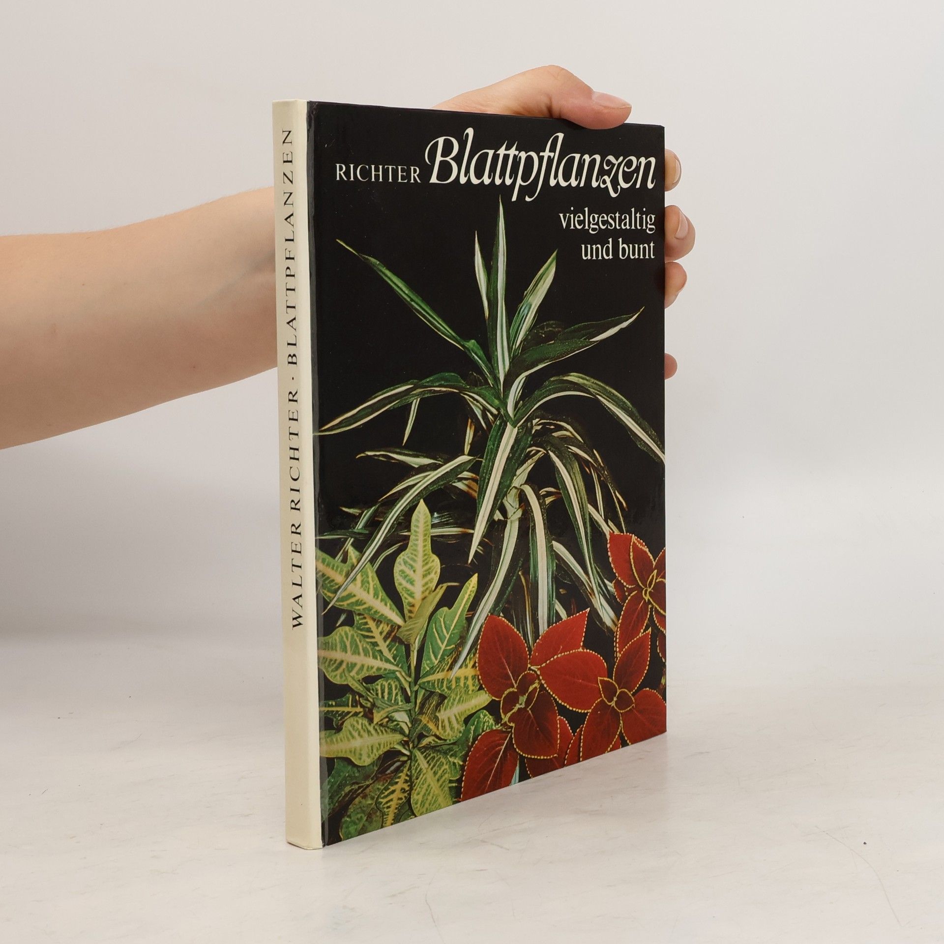 Walter Richter Blattpflanzen