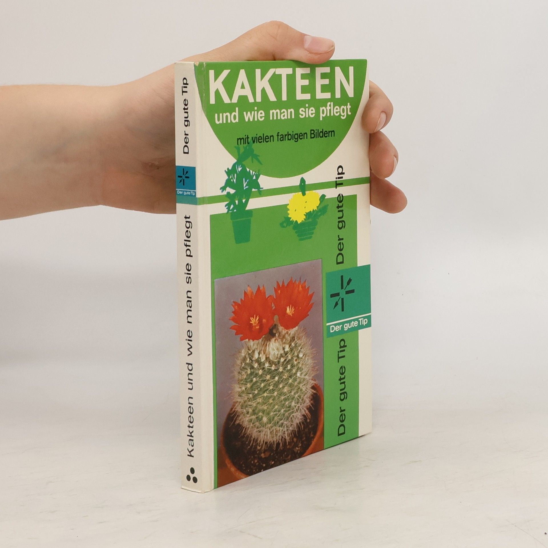 Collectif d'auteurs Kakteen und wie man sie pflegt